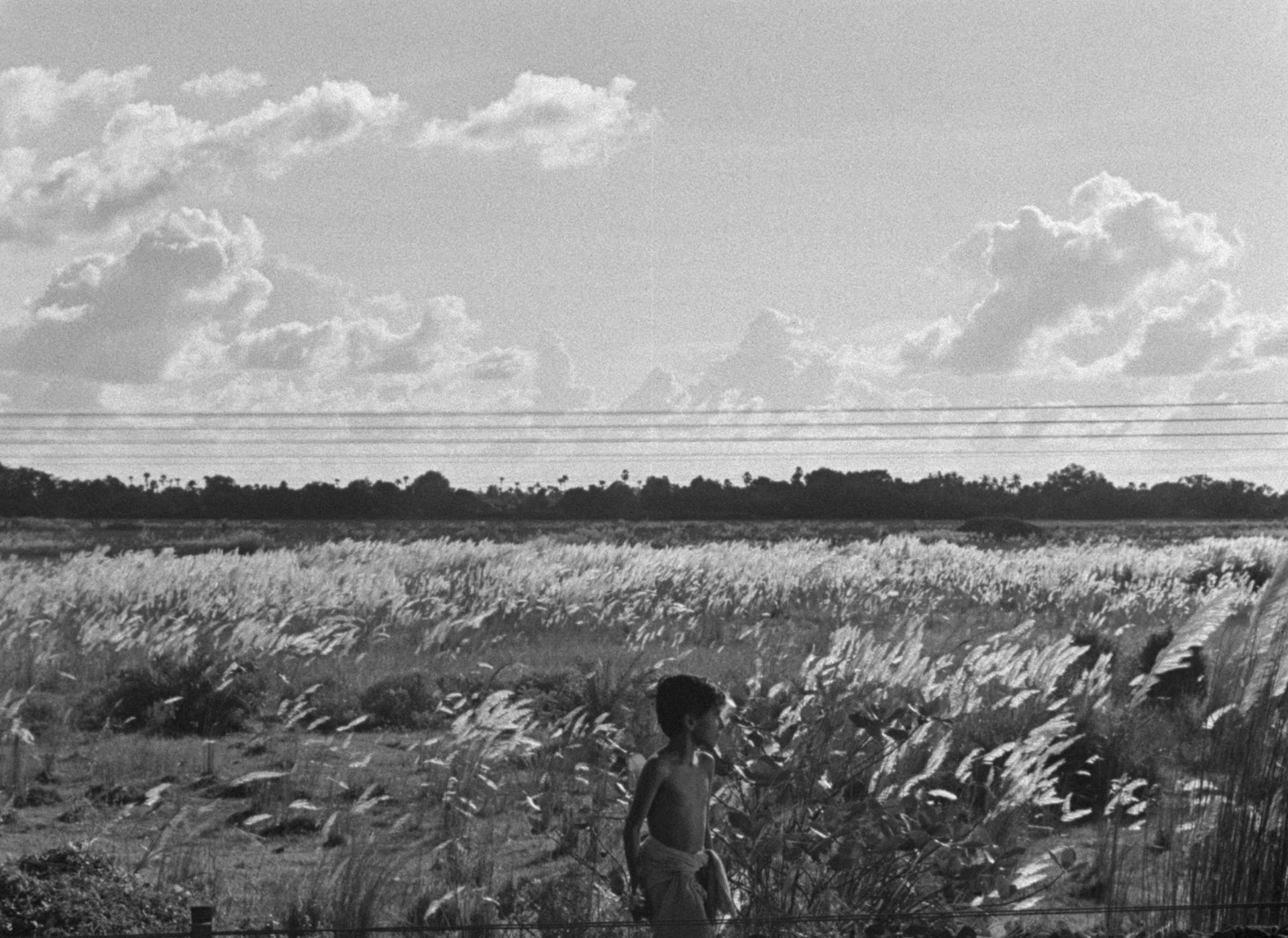 Pather Panchali (1955) —  shot,  lighting