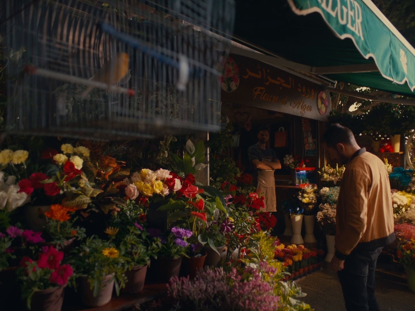 Vénus - Eden Garden (DC) (2024) —  shot,  lighting