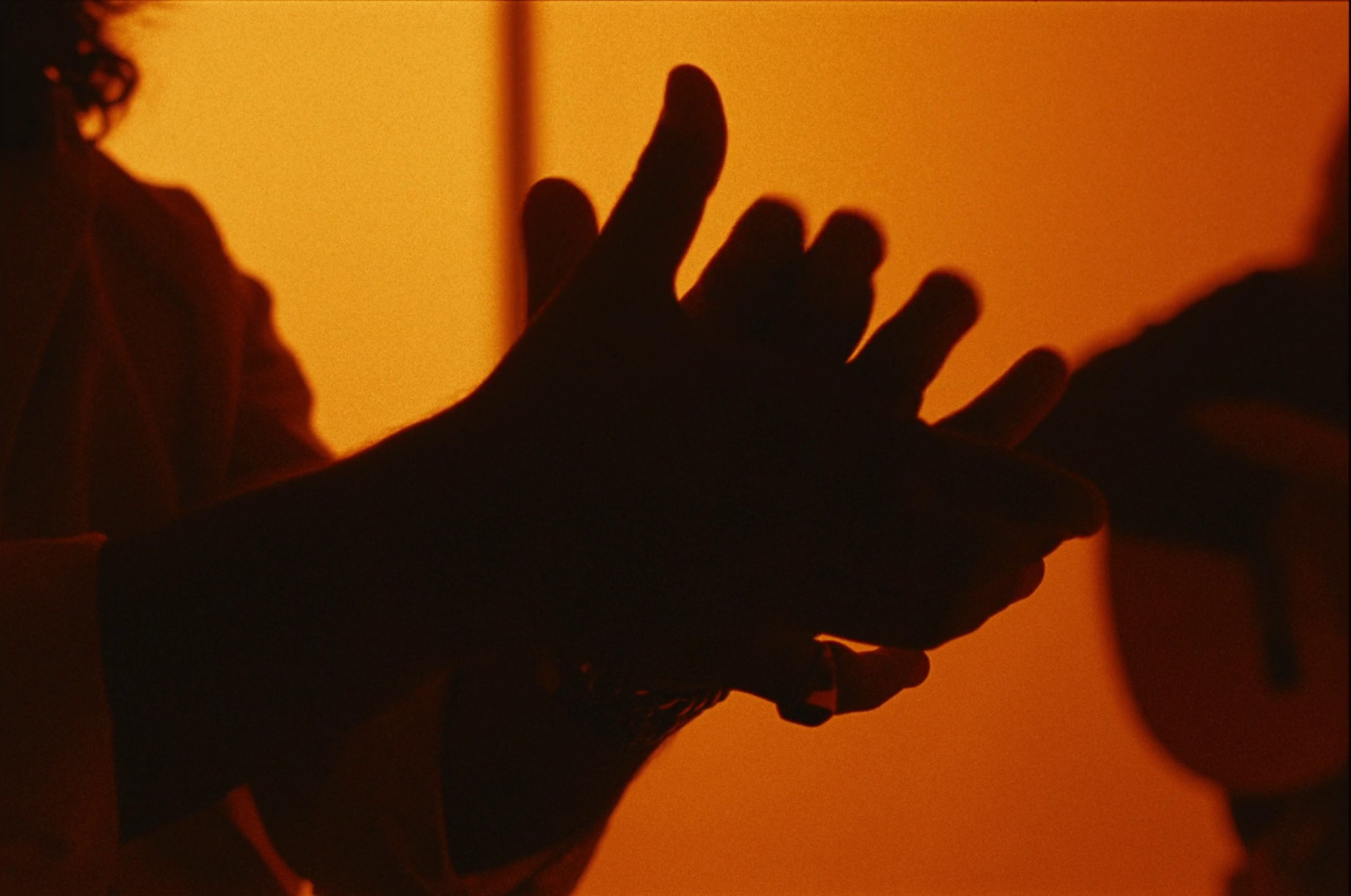 Cruzcampo - Gitana (2024) —  shot,  lighting