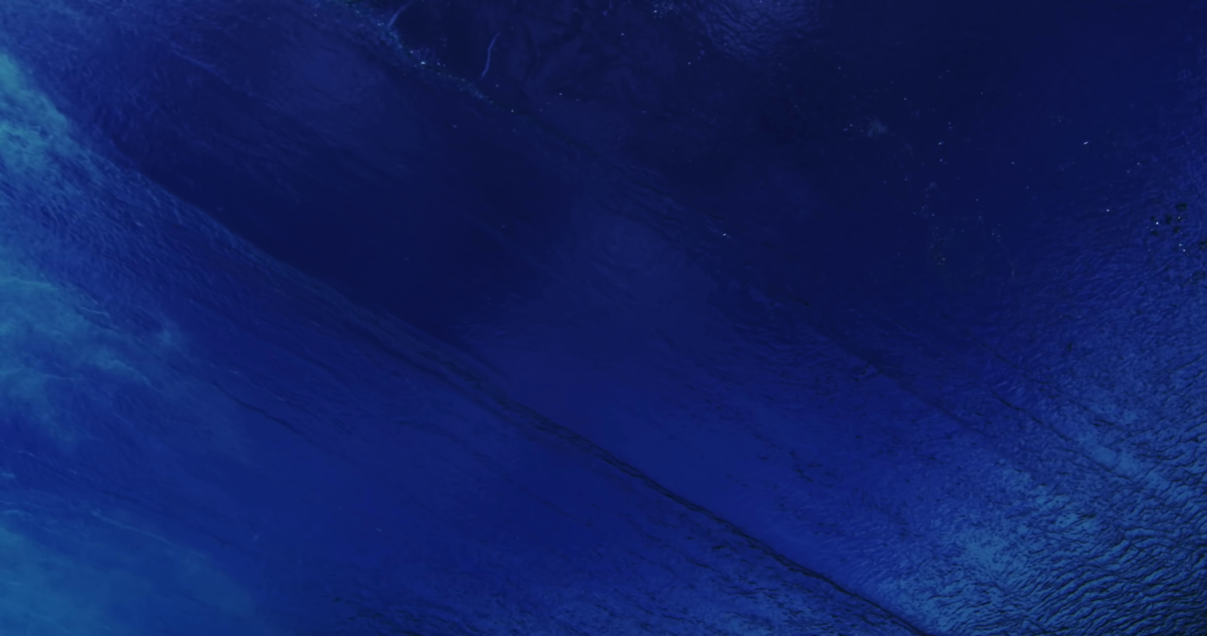 Meet The Moonlight (2022) —  shot,  lighting