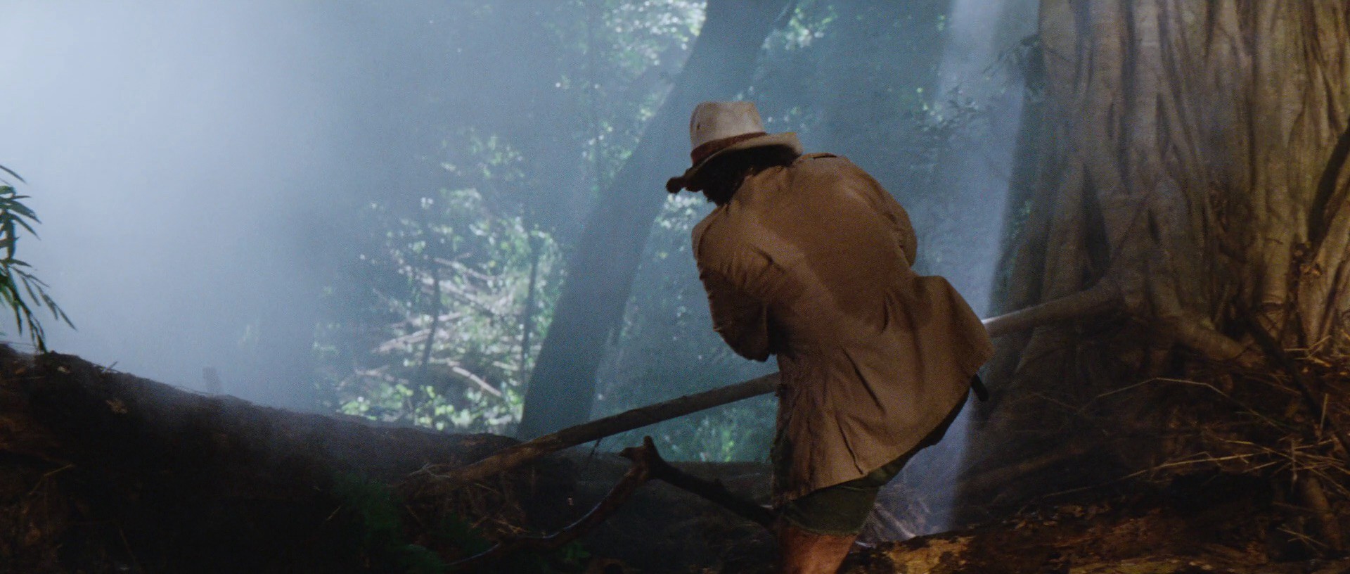 Indiana Jones and the Raiders of the Lost Ark (1981) —  shot,  lighting