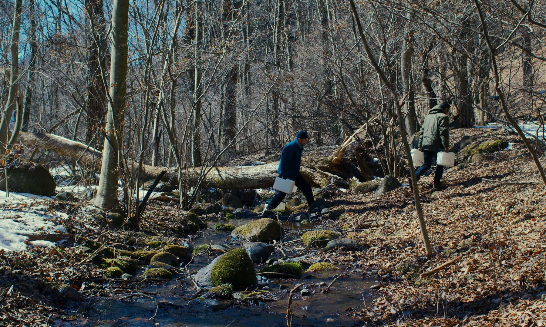 Evil Does Not Exist (2024) —  shot,  lighting