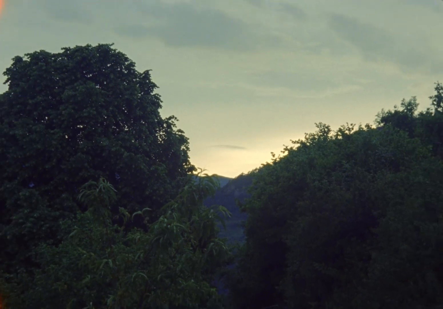 LAS FLORES (2024) —  shot,  lighting