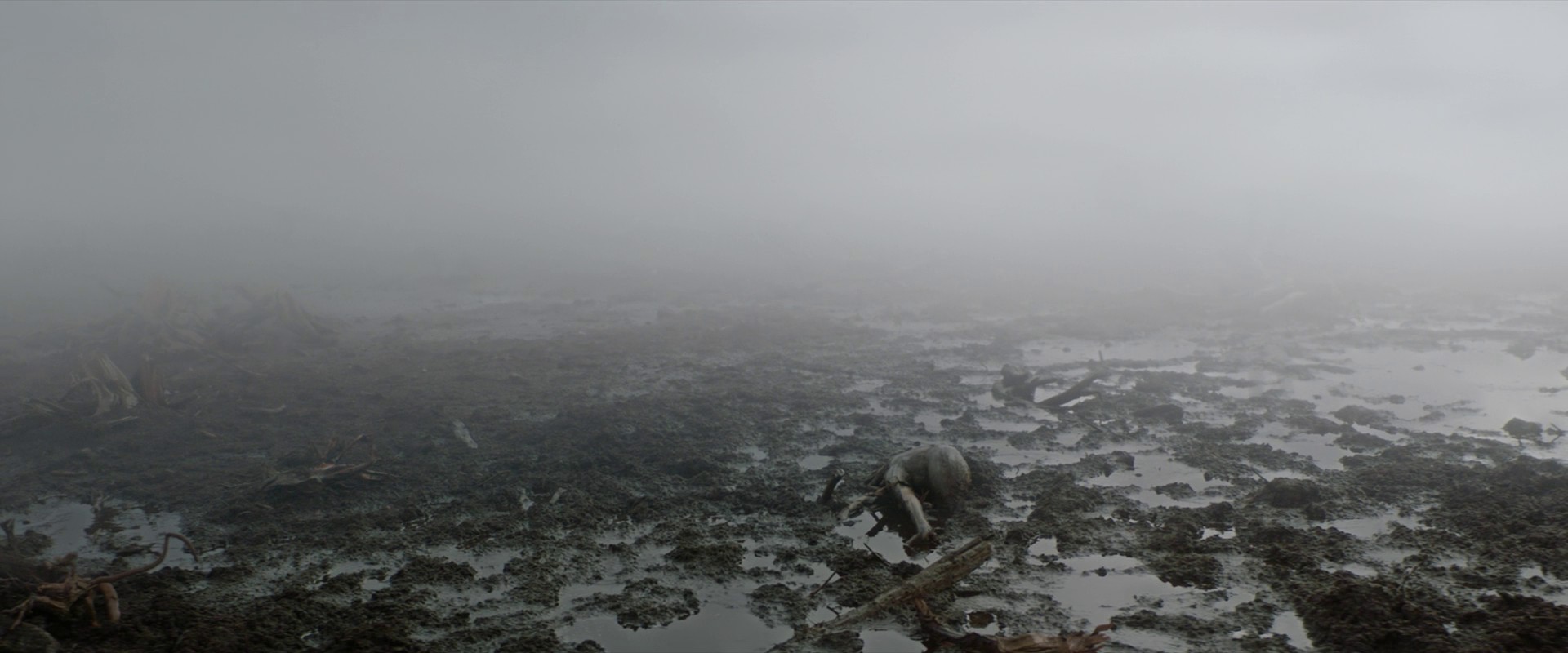 Vesper (2022) —  shot,  lighting