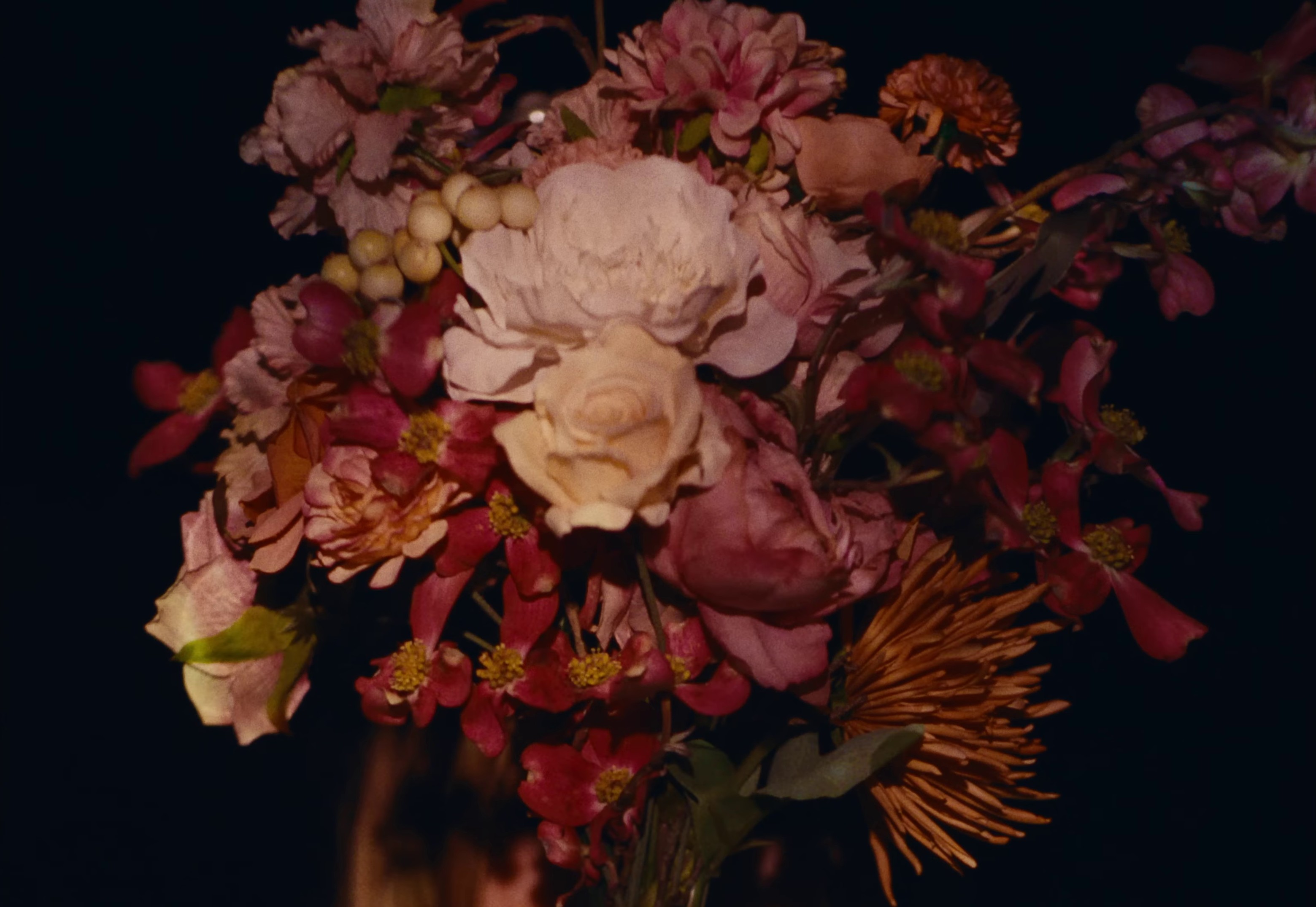 Meeting The Master (2023) —  shot,  lighting