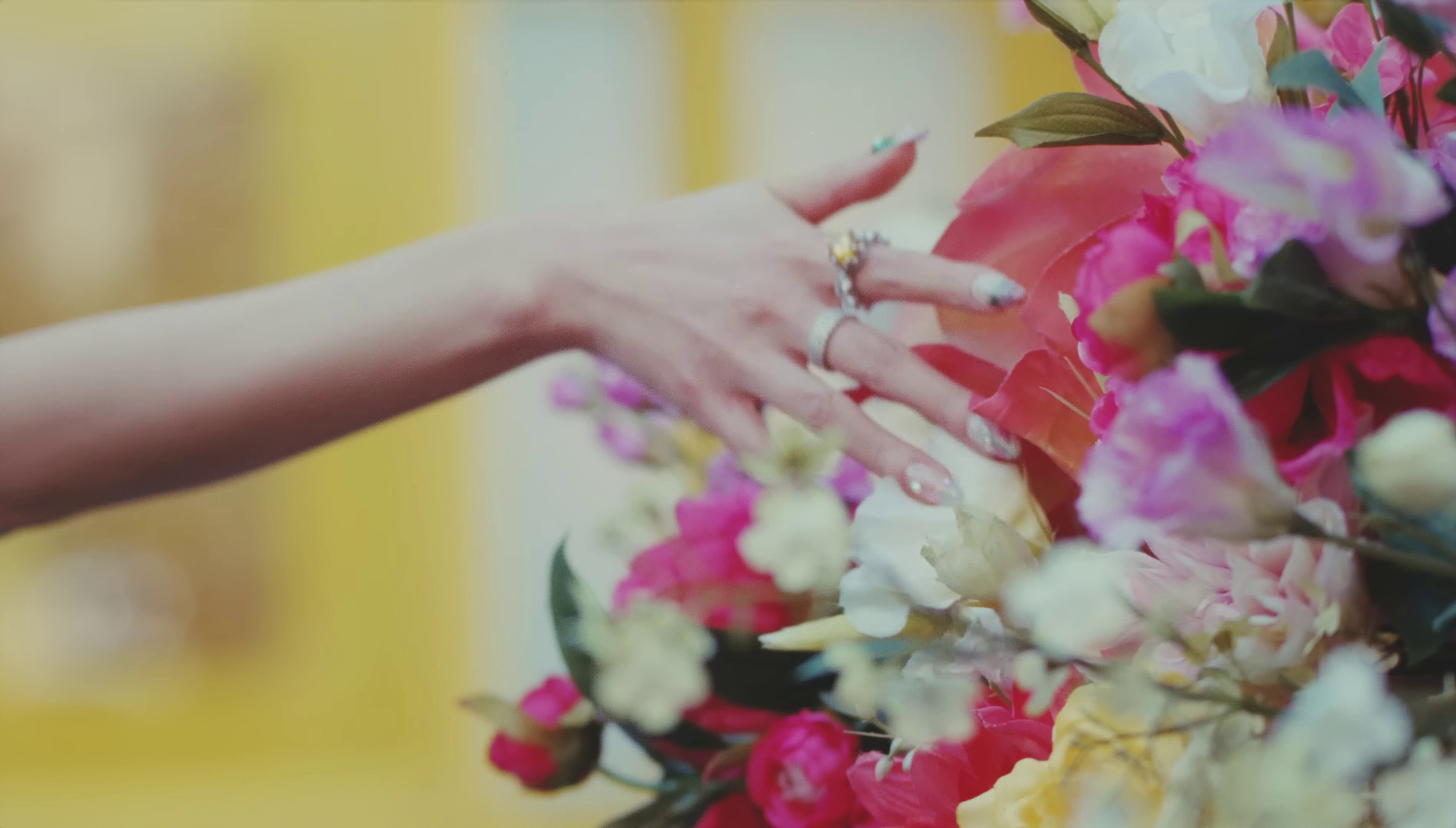 꽃(FLOWER) (2023) —  shot,  lighting