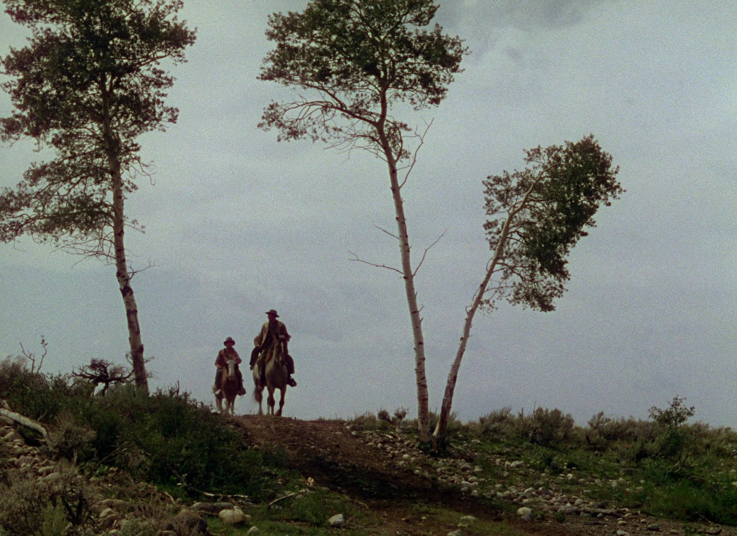 Shane (1953) —  shot,  lighting