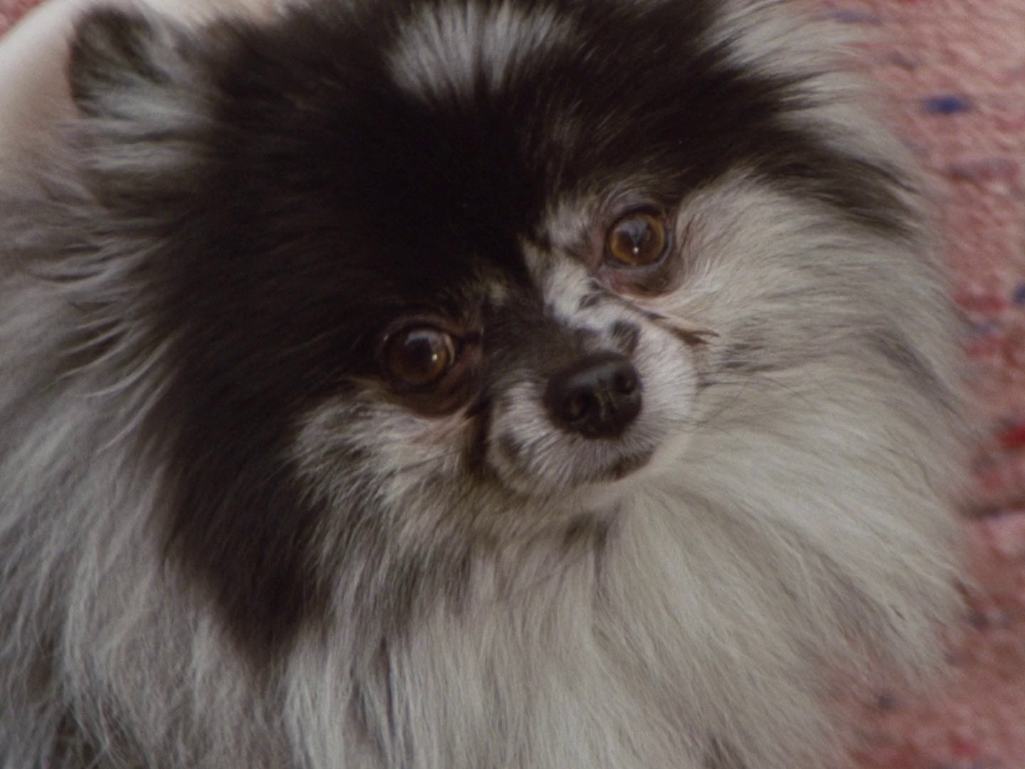 New Balance (2024) —  shot,  lighting