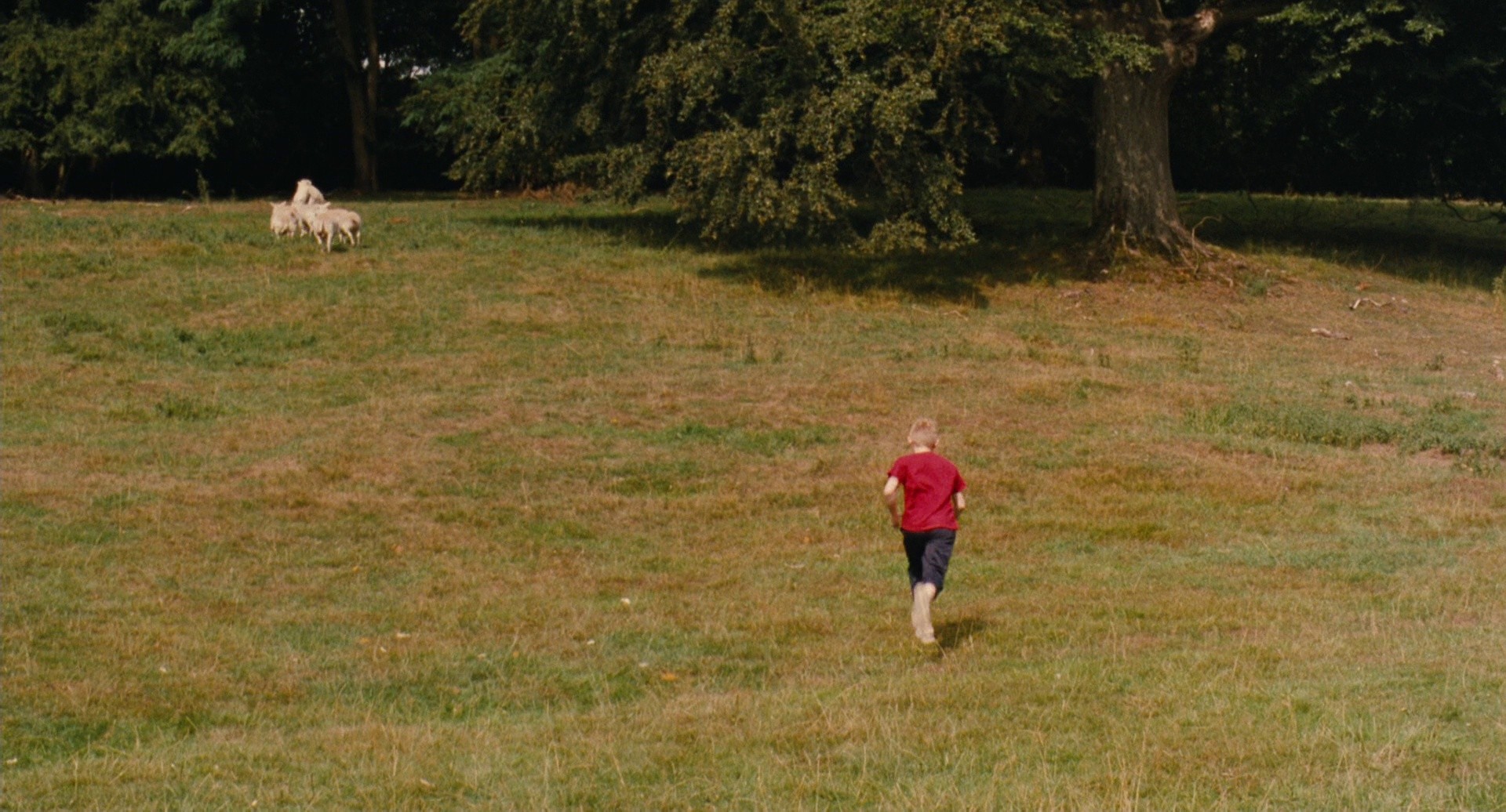 The Kid with a Bike (2012) —  shot,  lighting