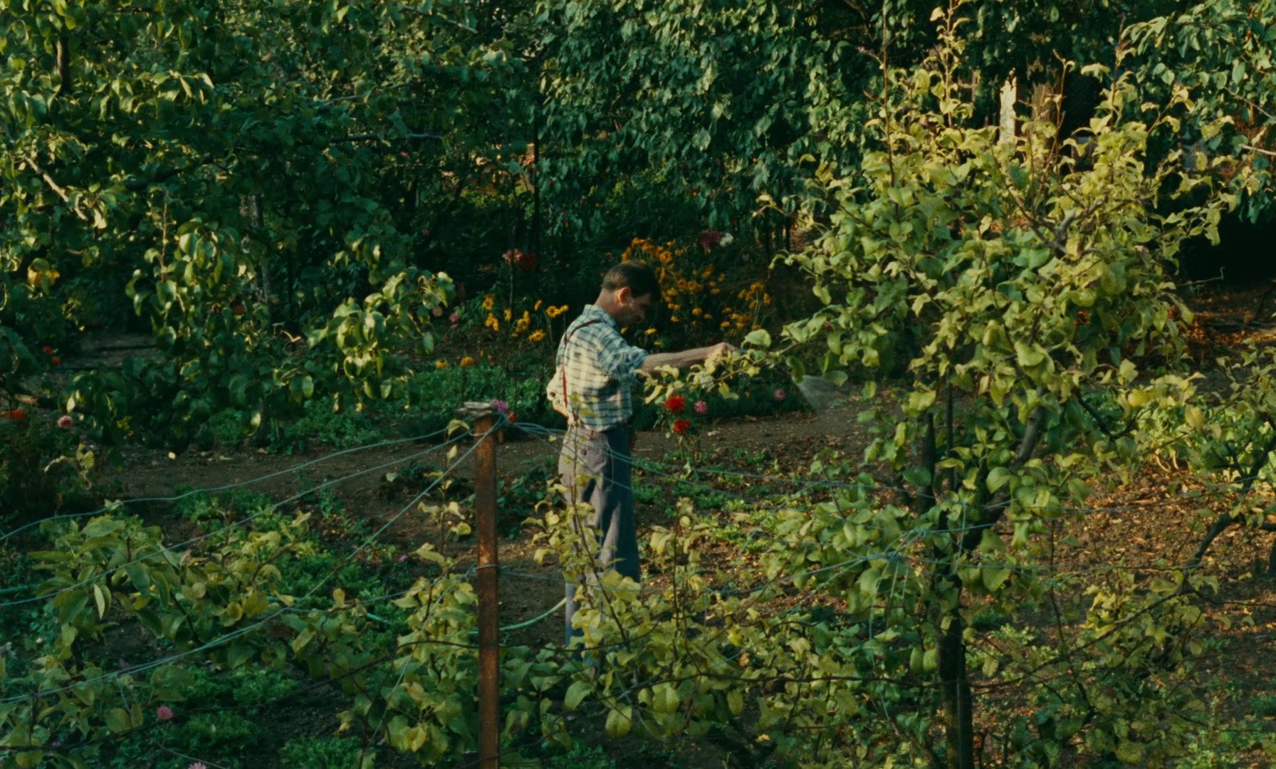 Happiness (1965) —  shot,  lighting