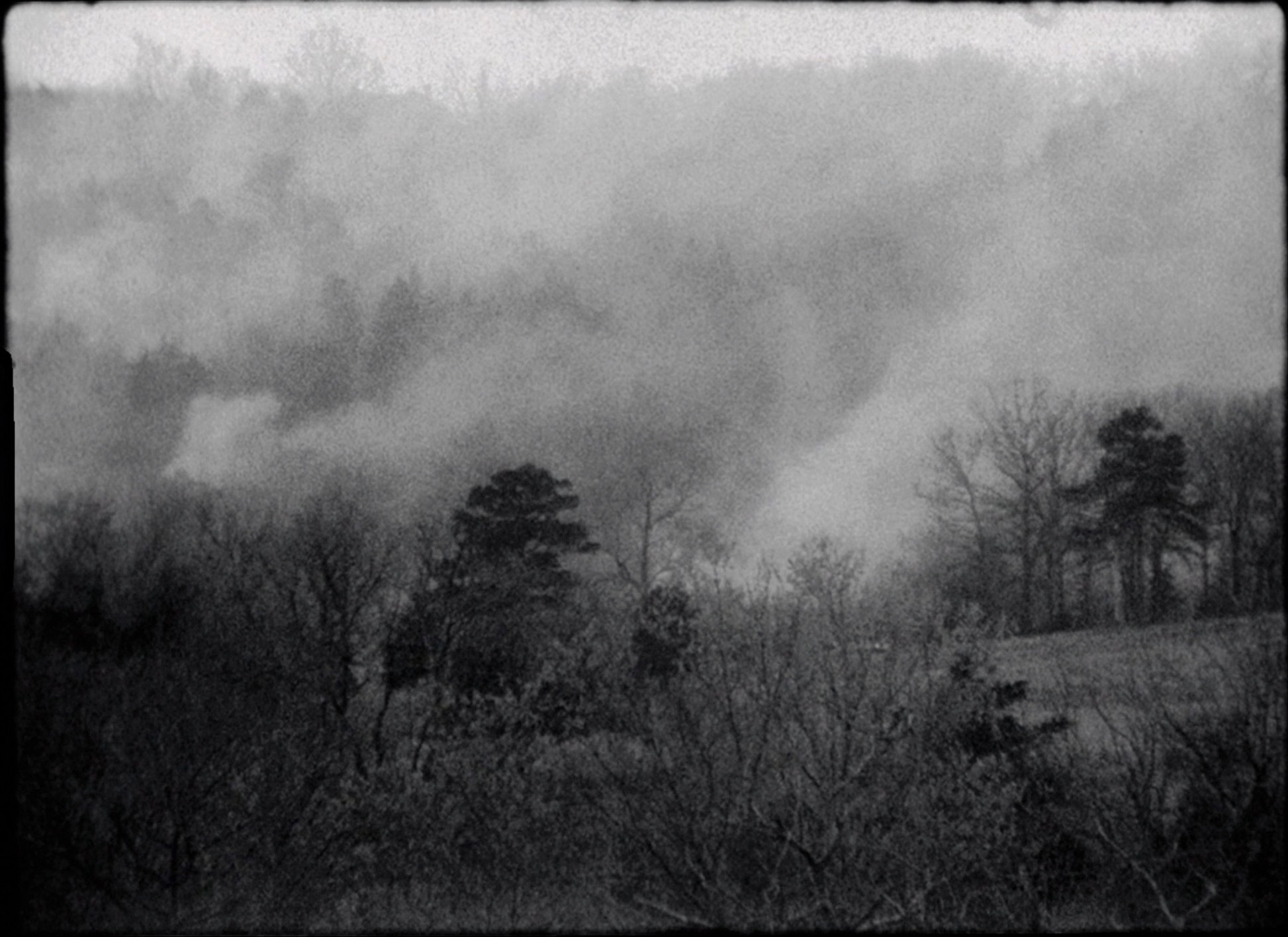 Winter's Bone (2010) —  shot,  lighting