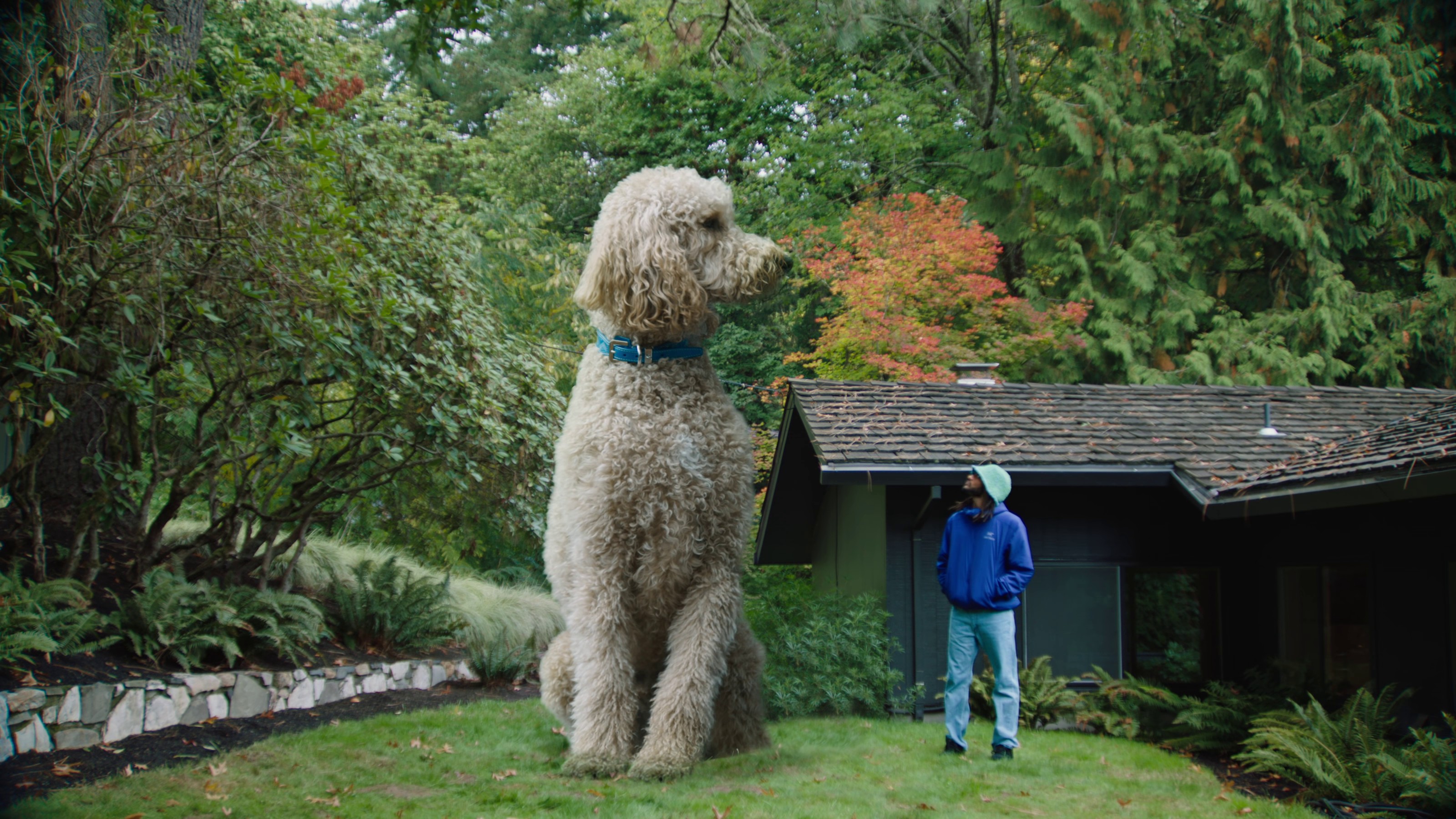 Charmander (2021) —  shot,  lighting