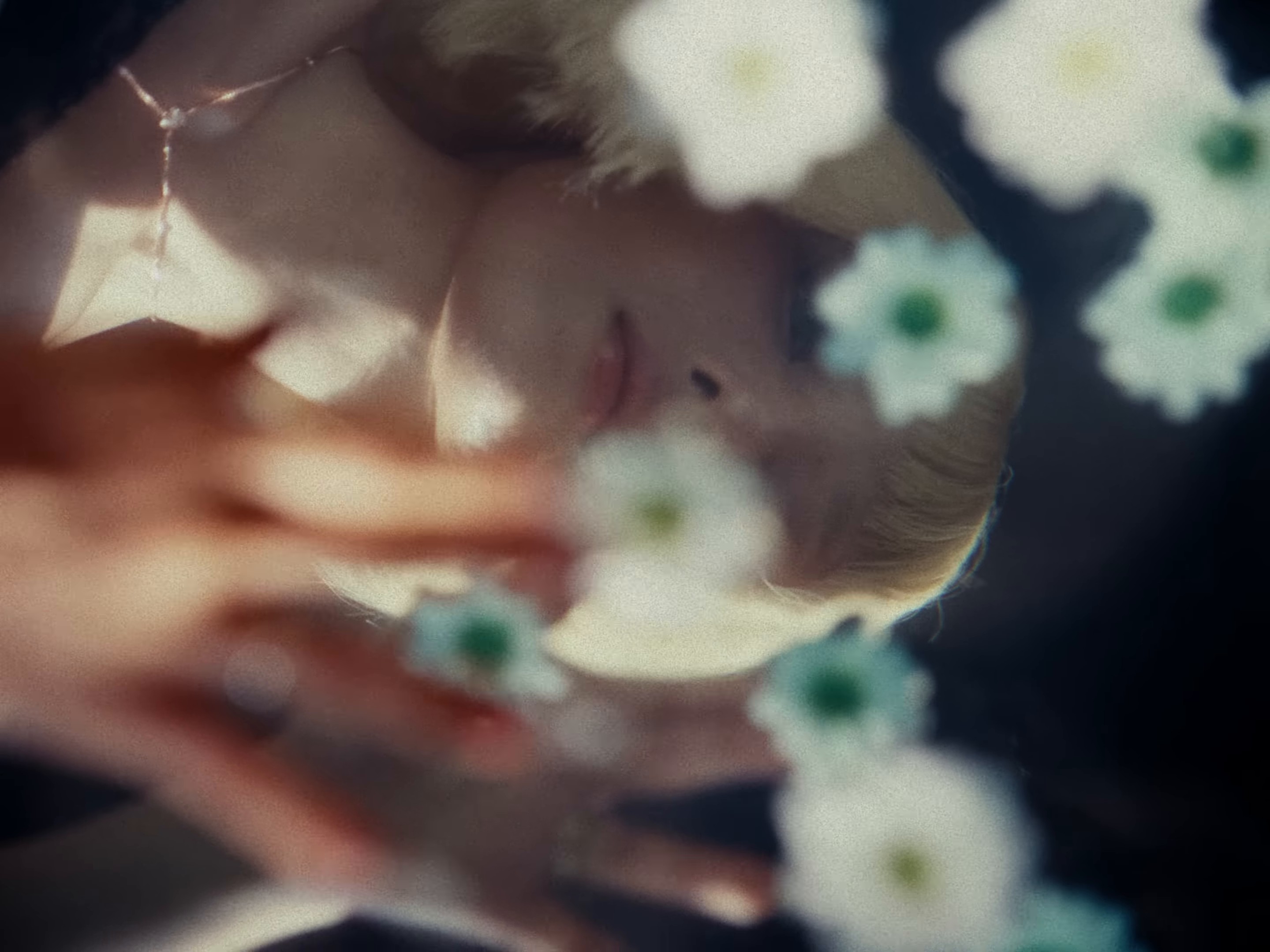 Tell My Momma (2024) —  shot,  lighting