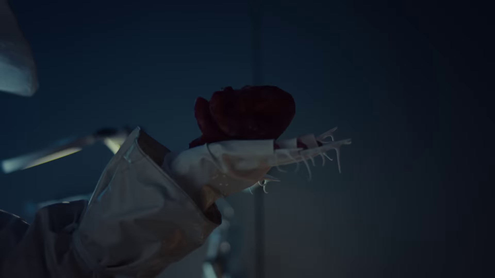 Cut you off (2023) —  shot,  lighting