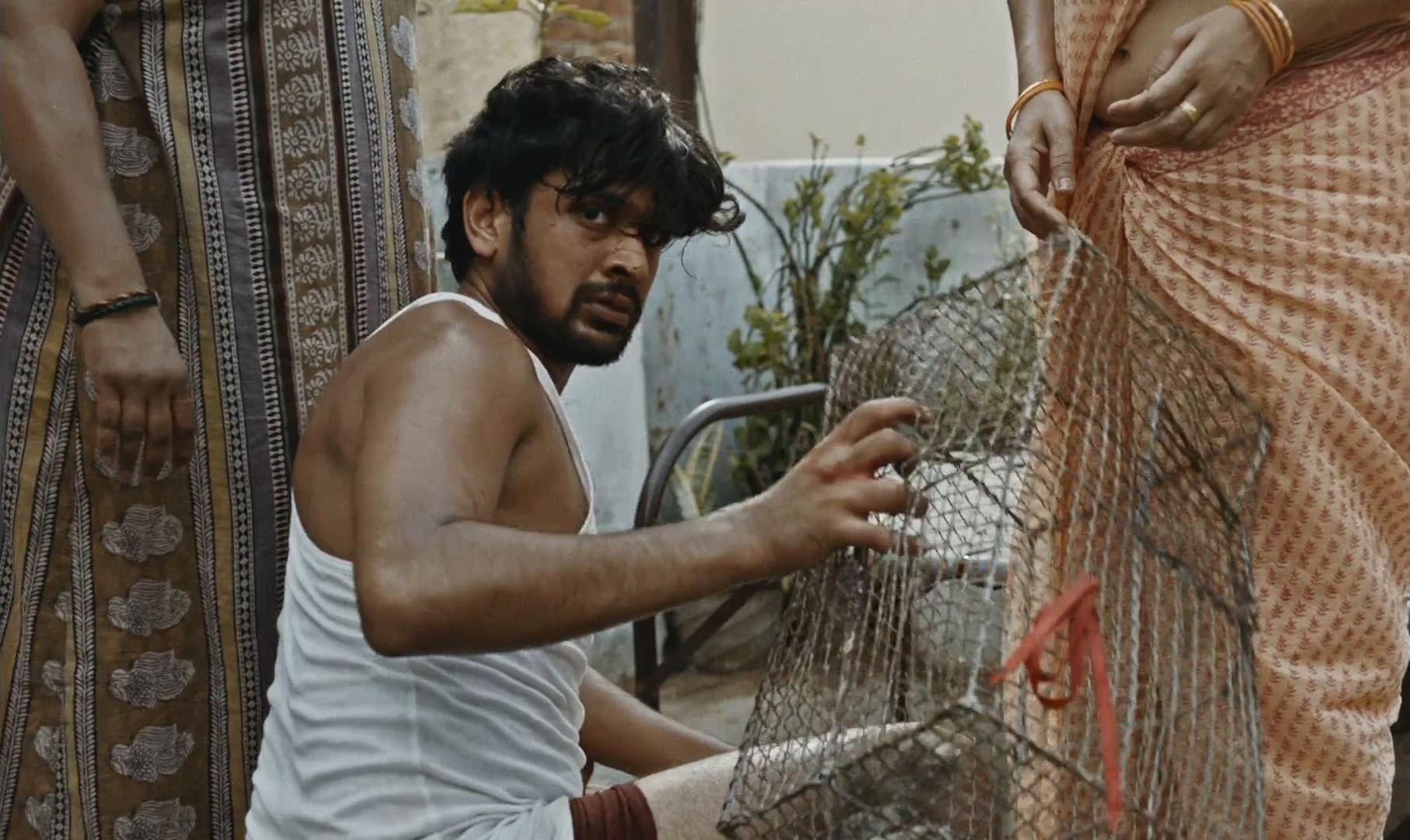 Agra (2023) —  shot,  lighting