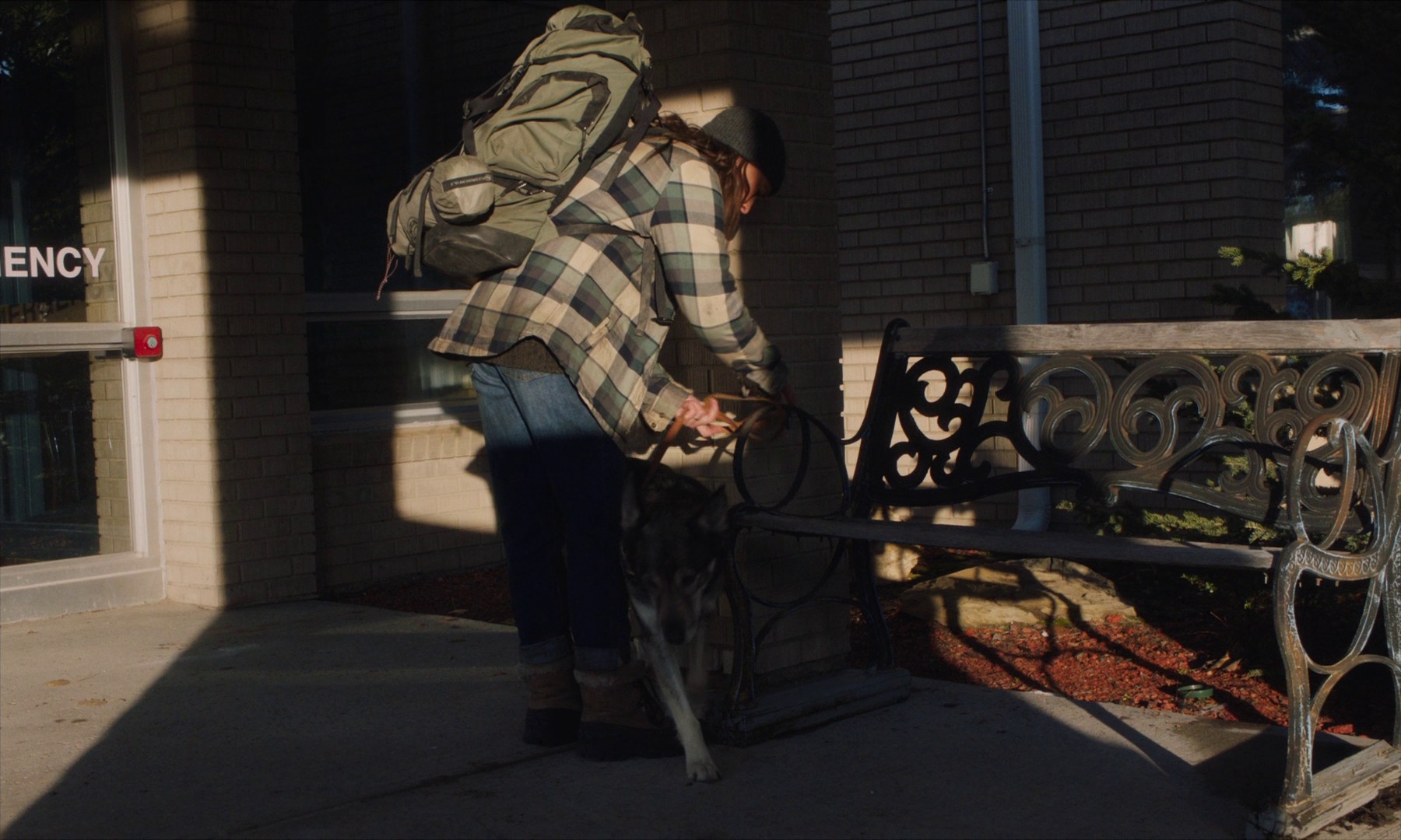 Land (2021) —  shot,  lighting