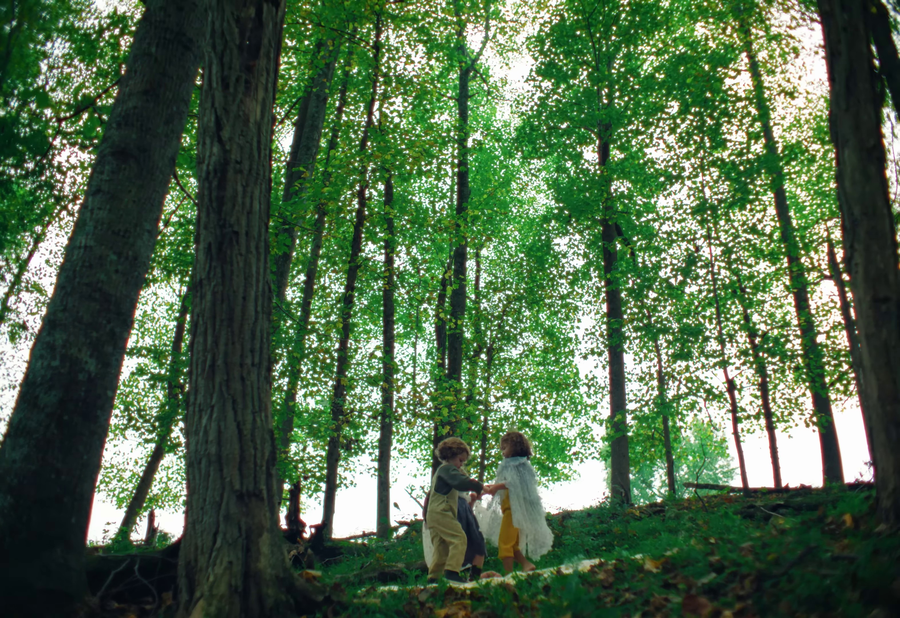 No One Gets Out Alive (2024) —  shot,  lighting