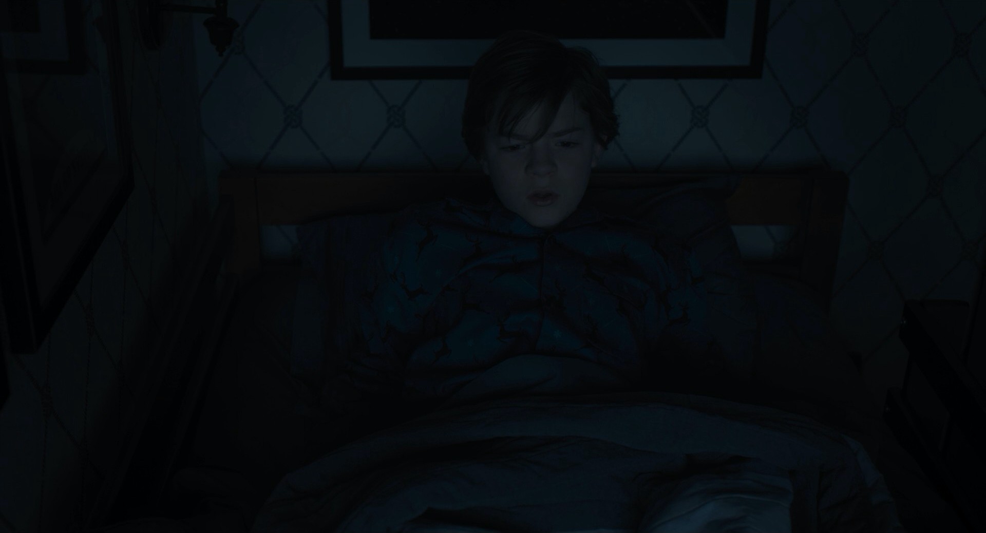 The Goldfinch (2019) —  shot,  lighting