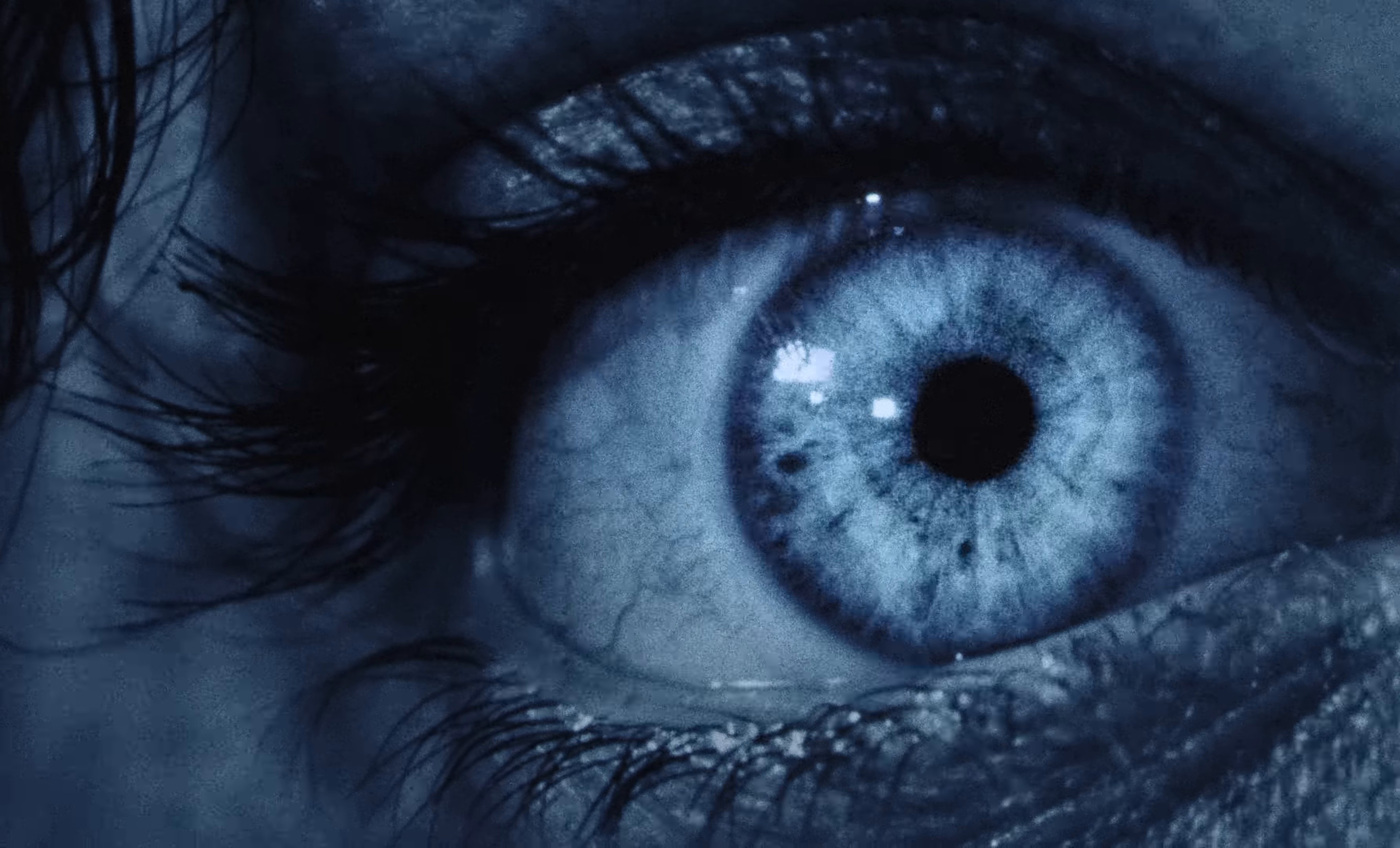 You Keep Me Up at Night (2024) —  shot,  lighting