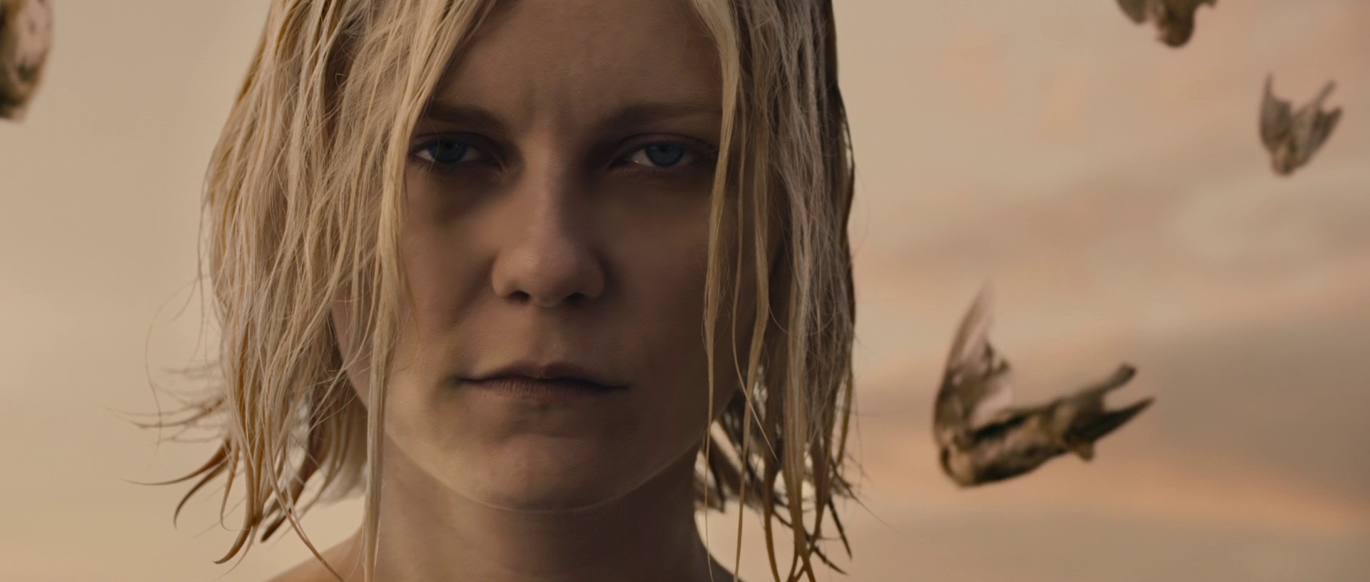 Melancholia (2011) —  shot,  lighting