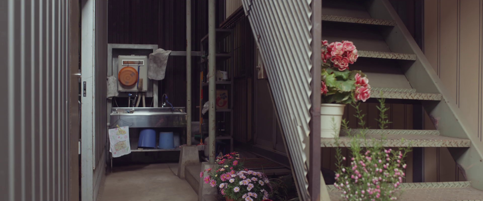 Amalock (2024) —  shot,  lighting