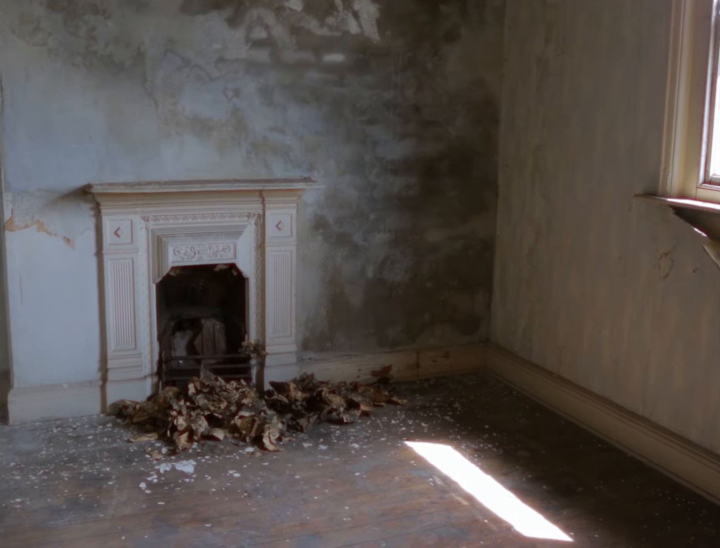 Totally In Love (2024) —  shot,  lighting