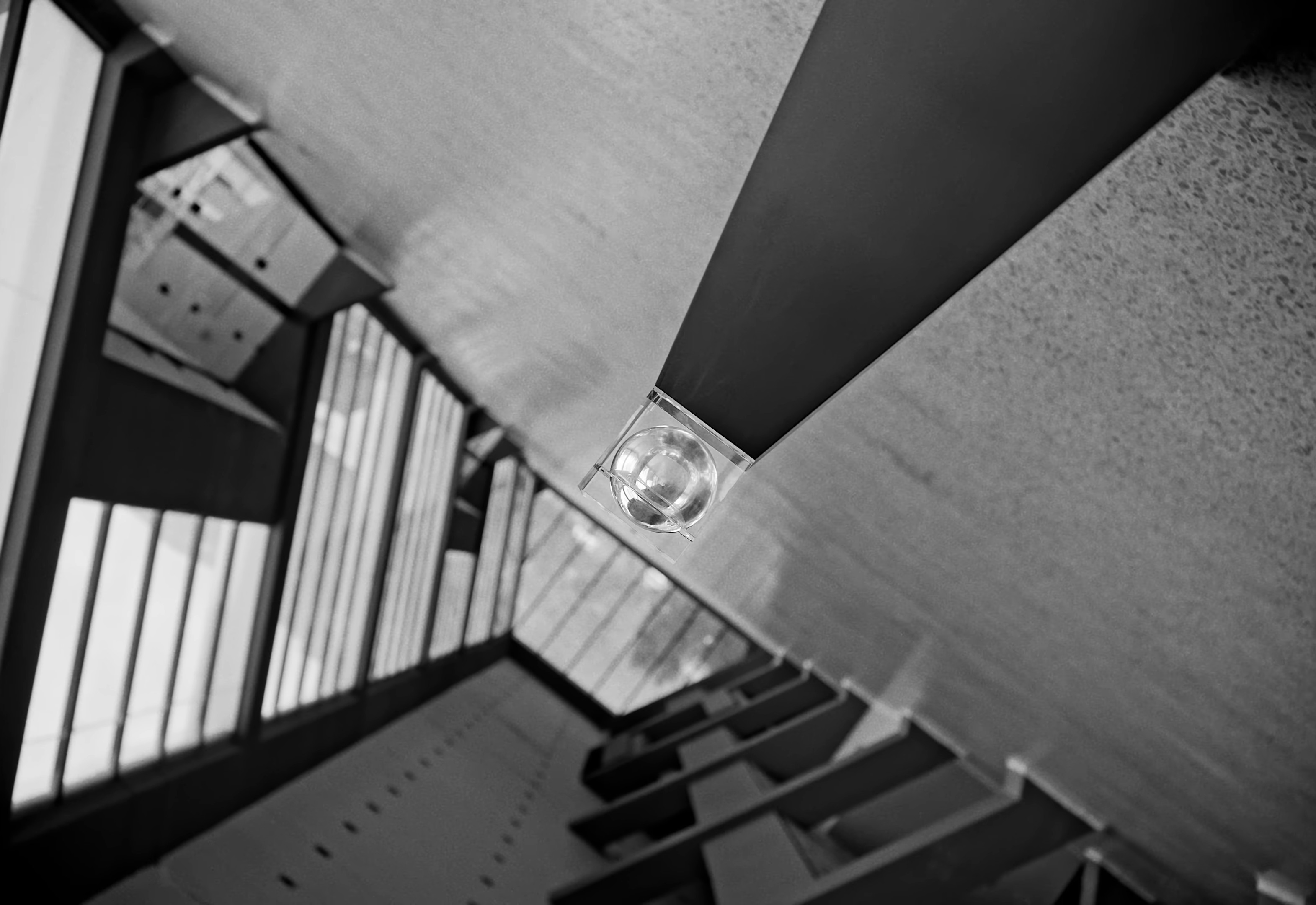 Degenerate (2024) —  shot,  lighting