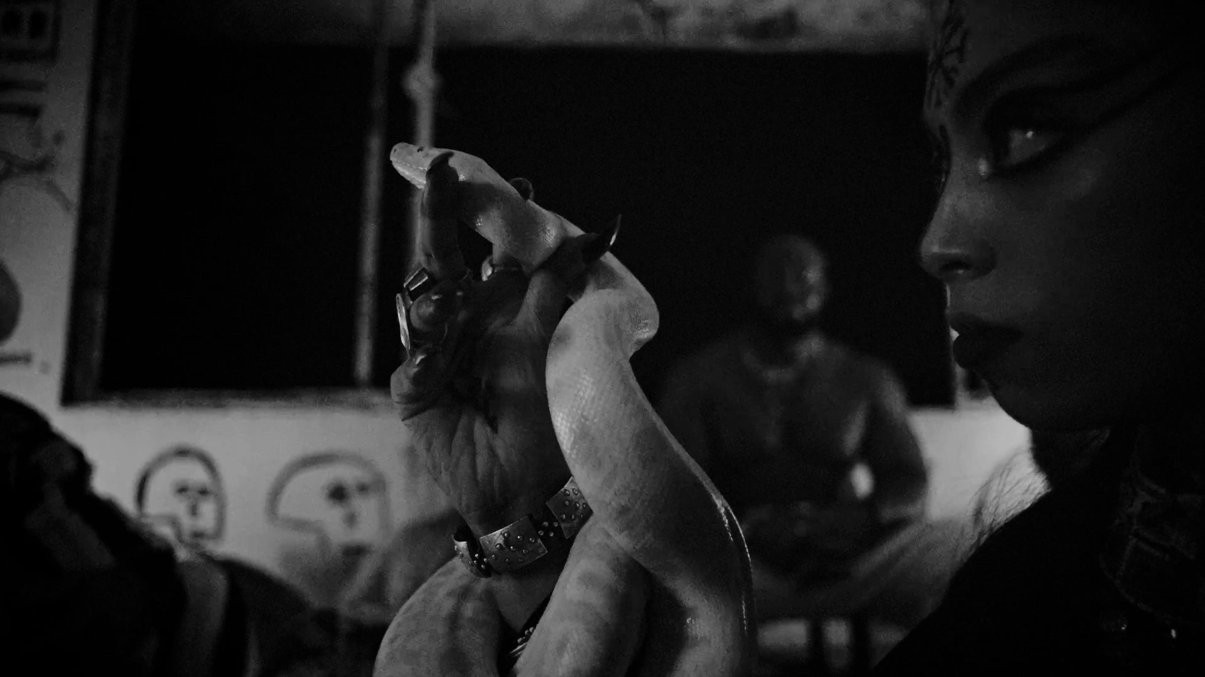 M9AWDA (2022) —  shot,  lighting