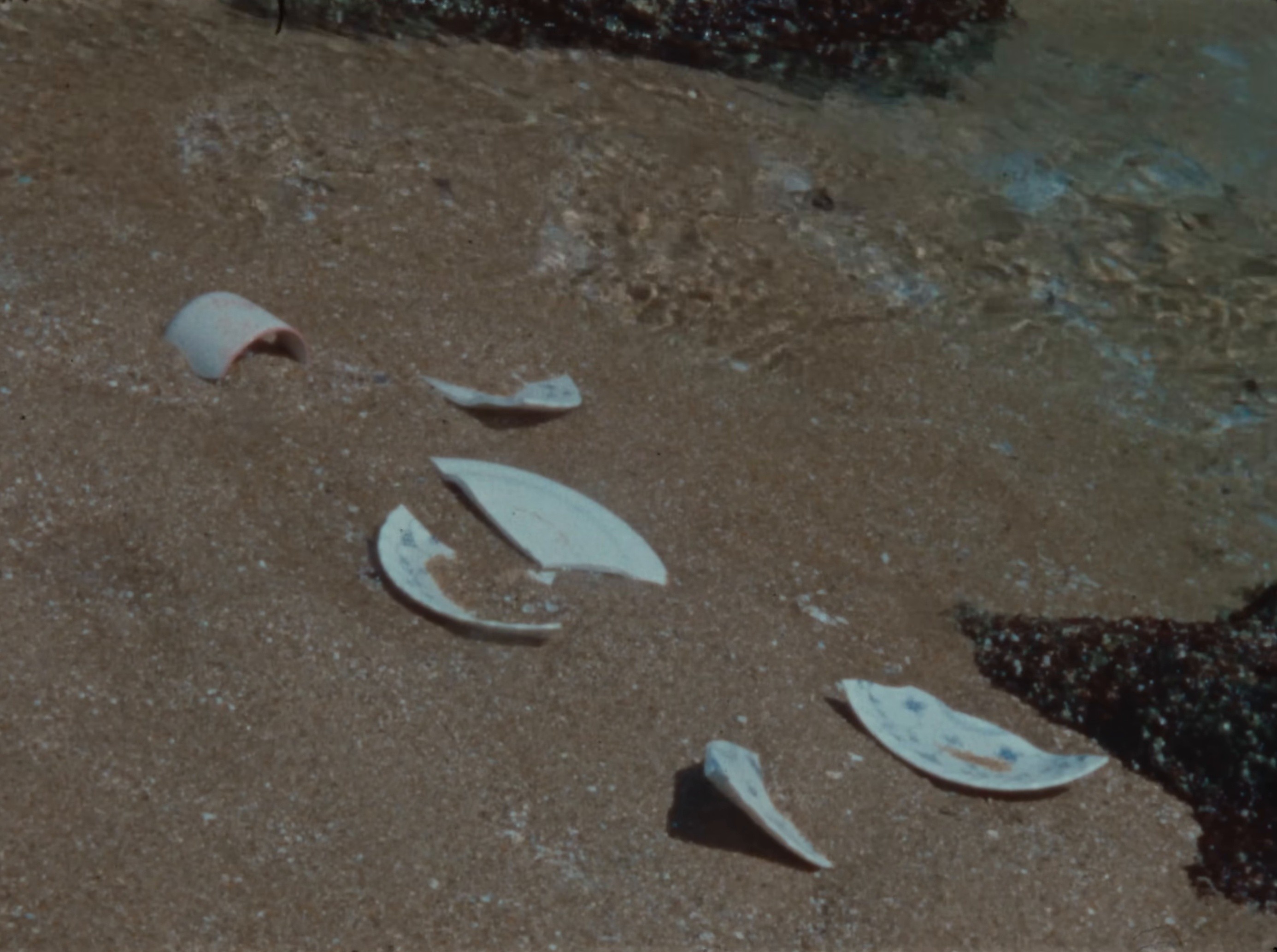 Melancolía (2025) —  shot,  lighting