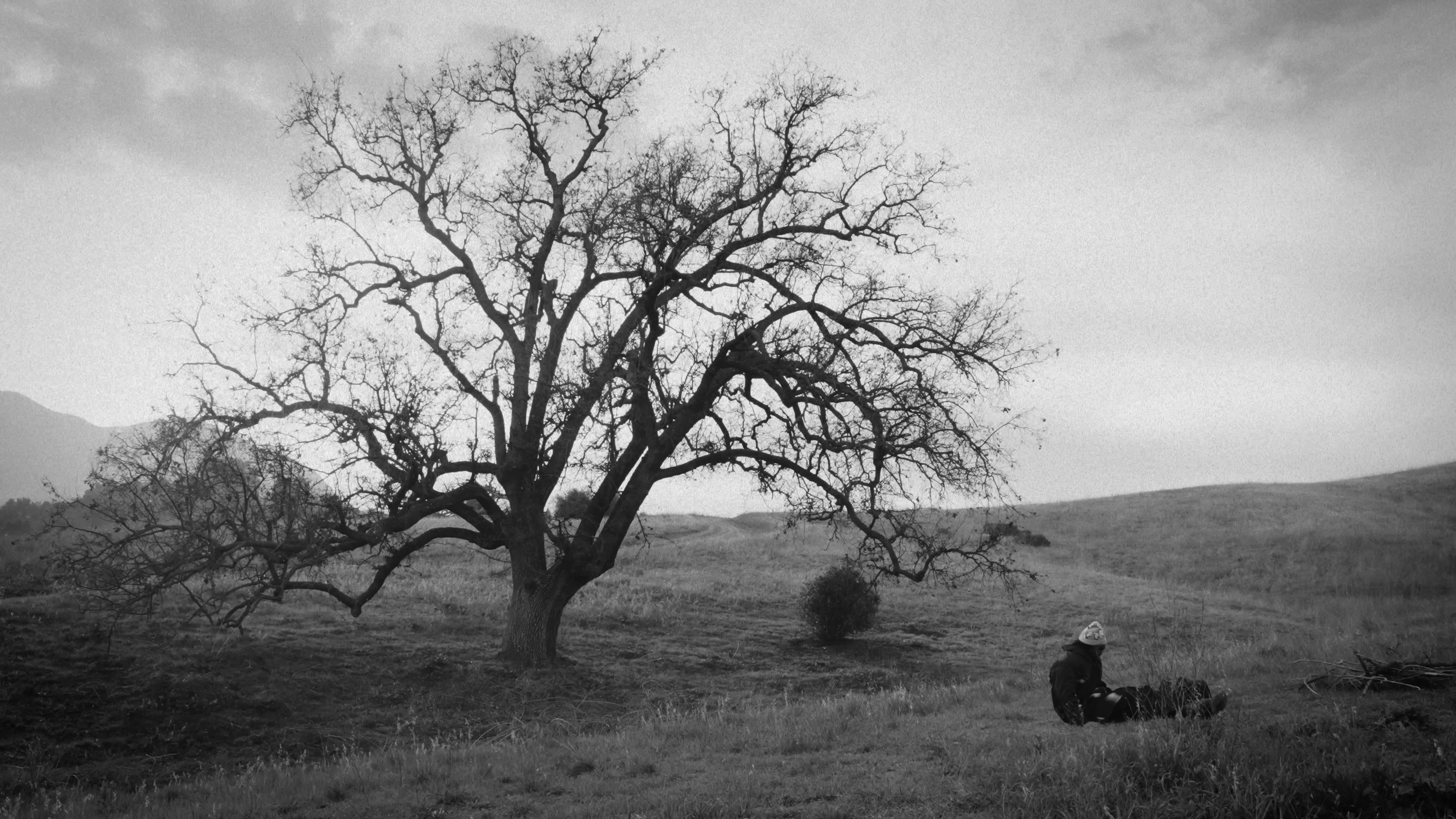 Instincts (2024) —  shot,  lighting