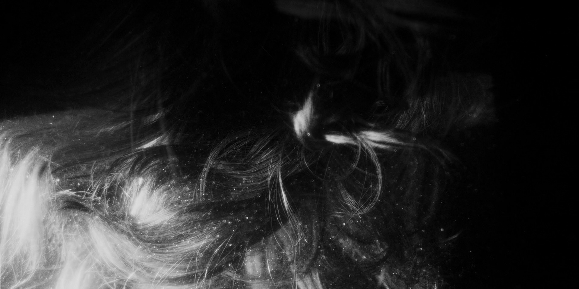 The Imposter (2024) —  shot,  lighting