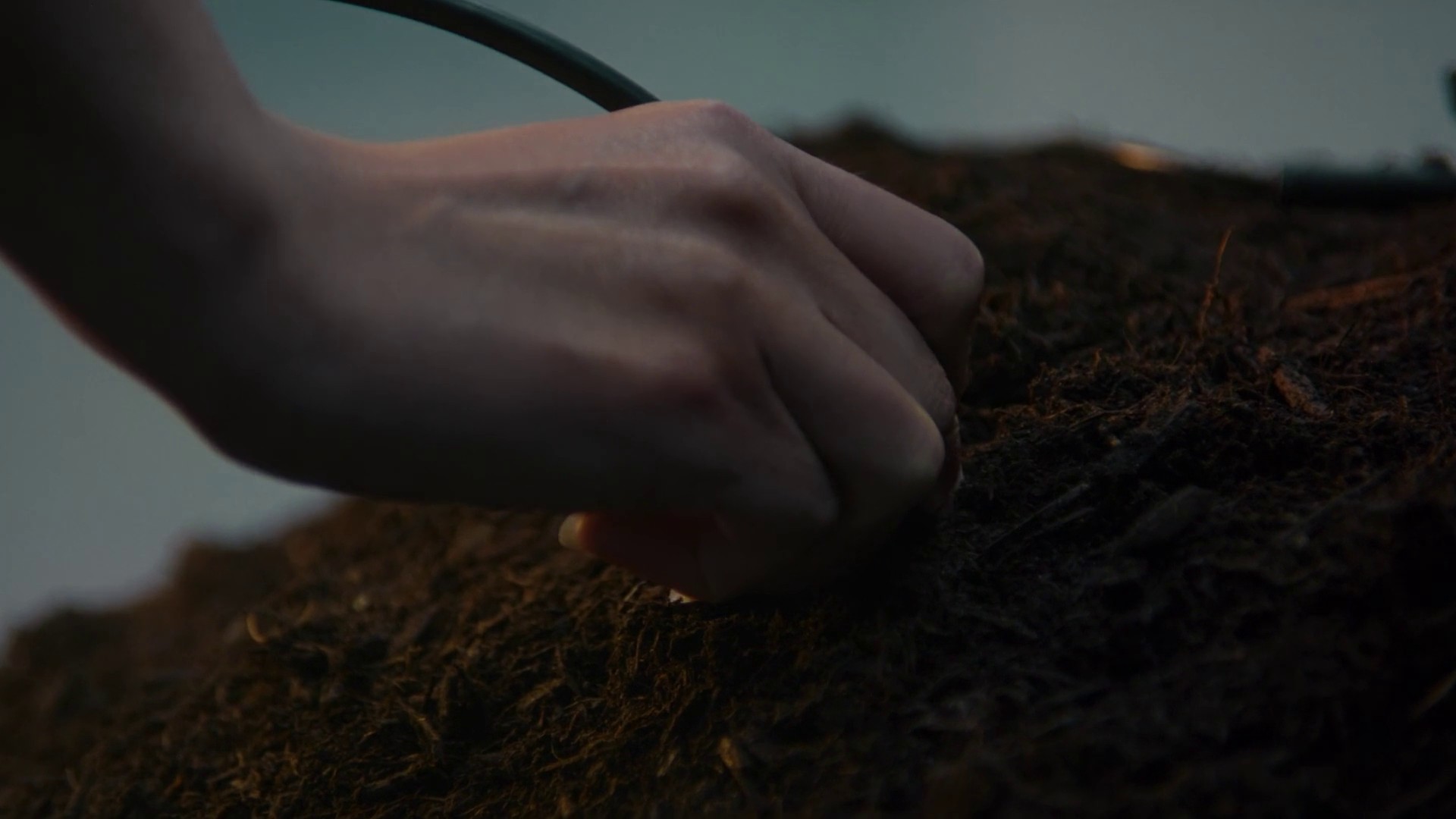 Brain Dead x Spotify (2024) —  shot,  lighting