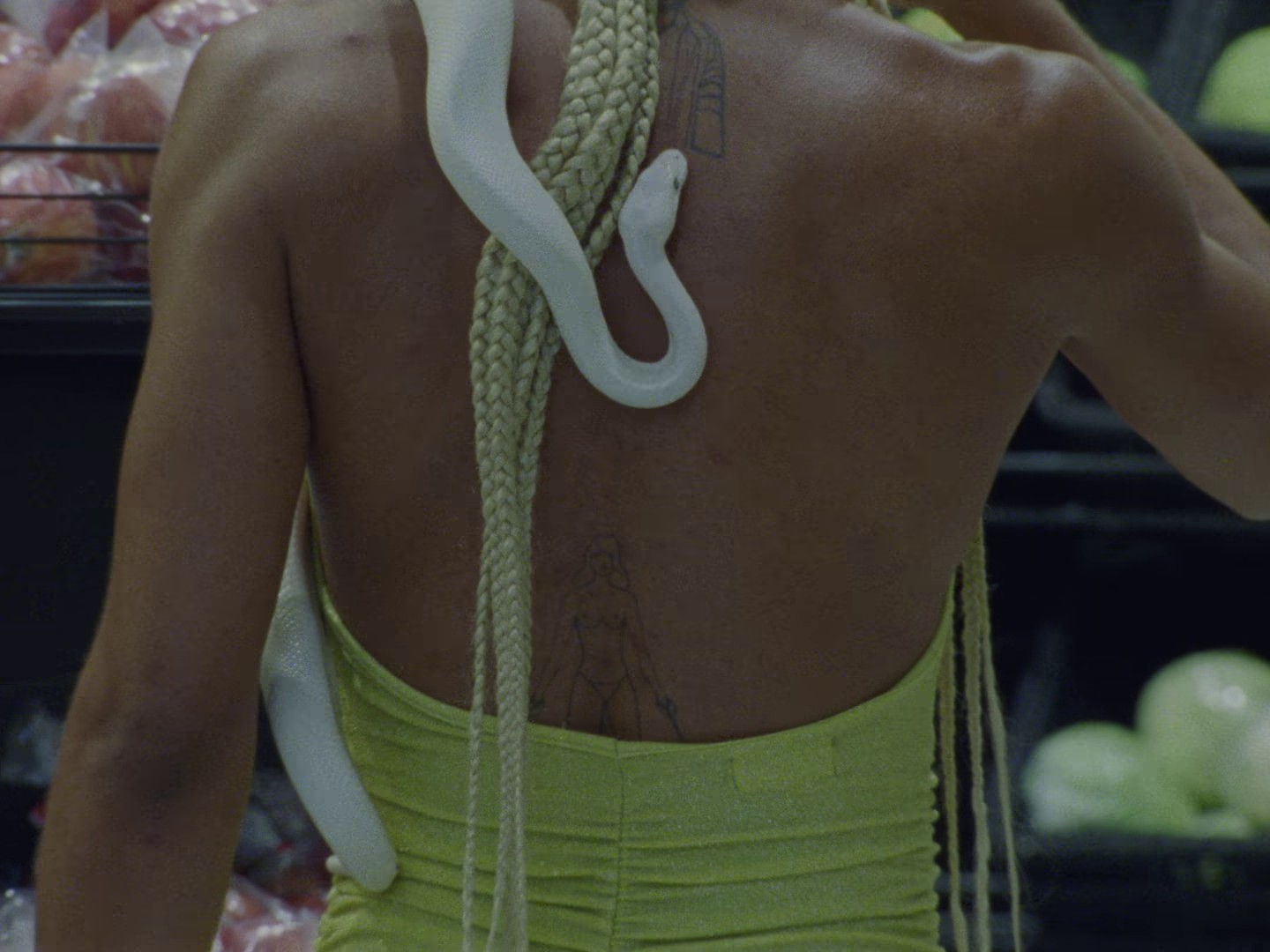 GIFT HORSE (2024) —  shot,  lighting