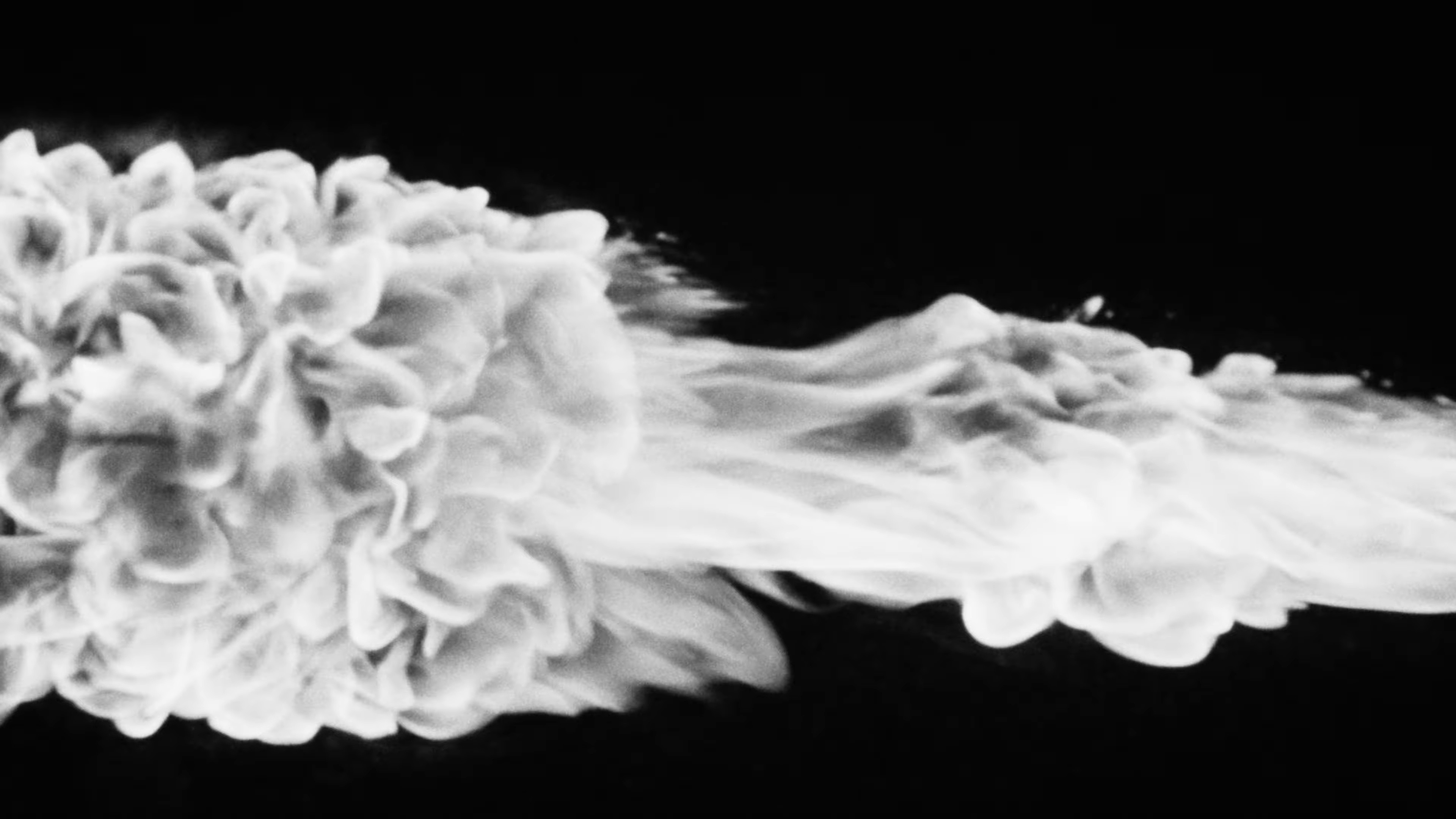 UNE GRENADE OU UN FRUIT ? (2025) —  shot,  lighting