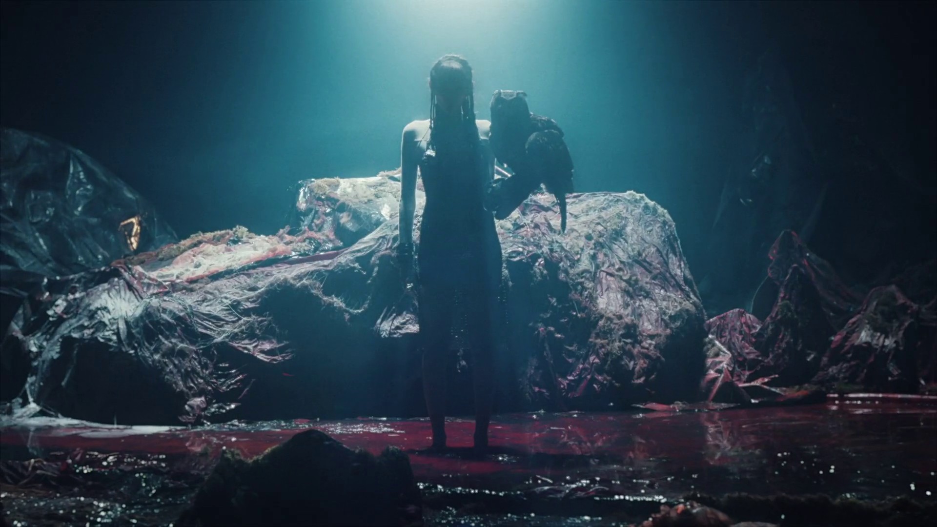 When you Dress Up (2023) —  shot,  lighting