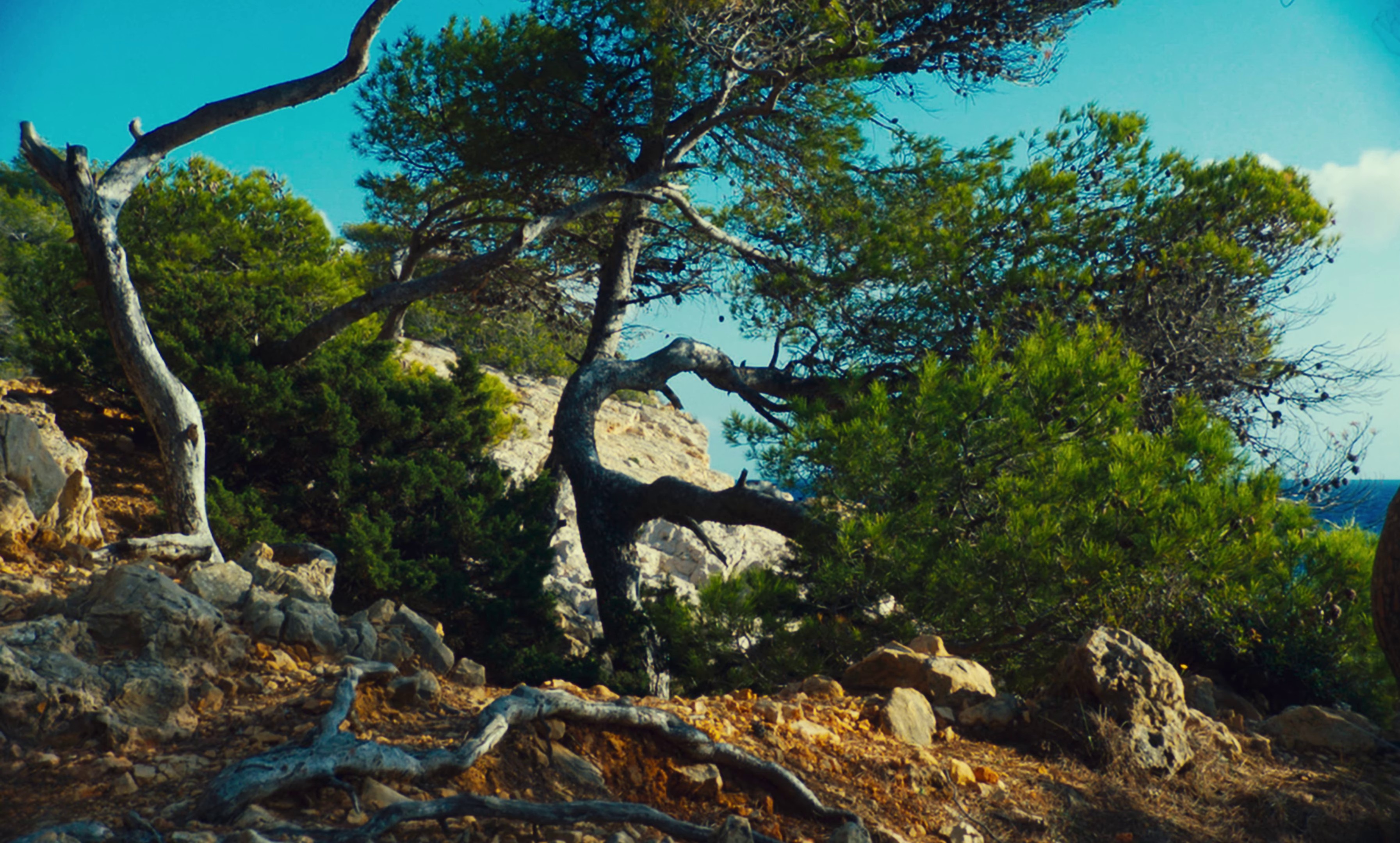 Vahiné (2022) —  shot,  lighting