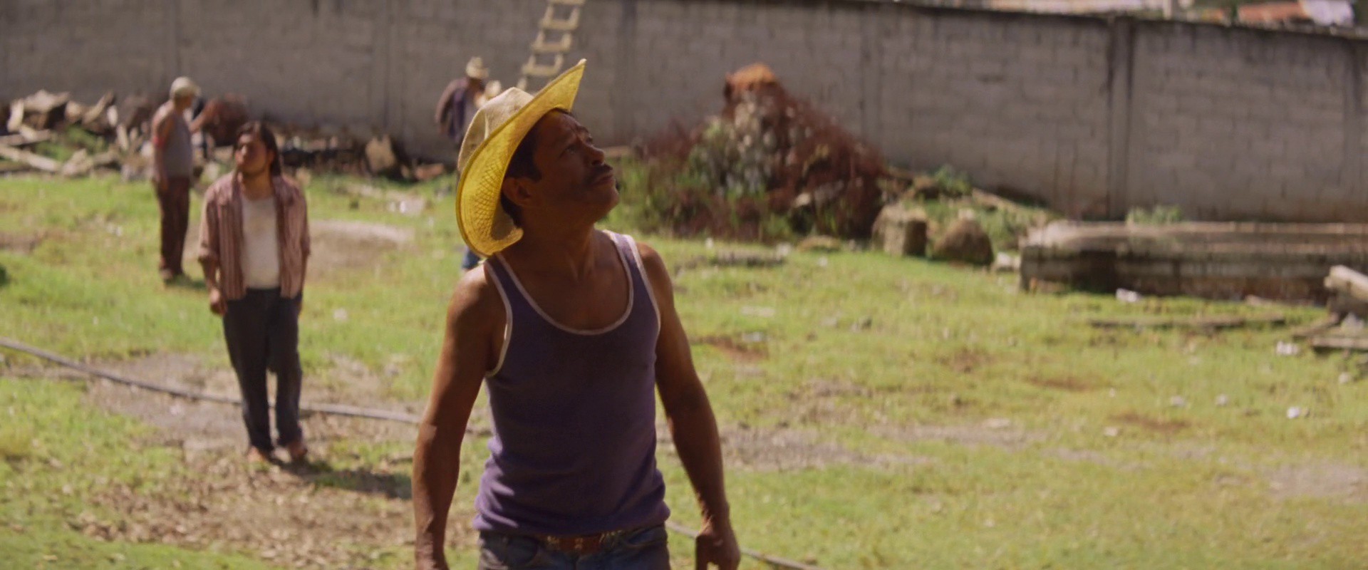 Drunken Birds (2021) —  shot,  lighting