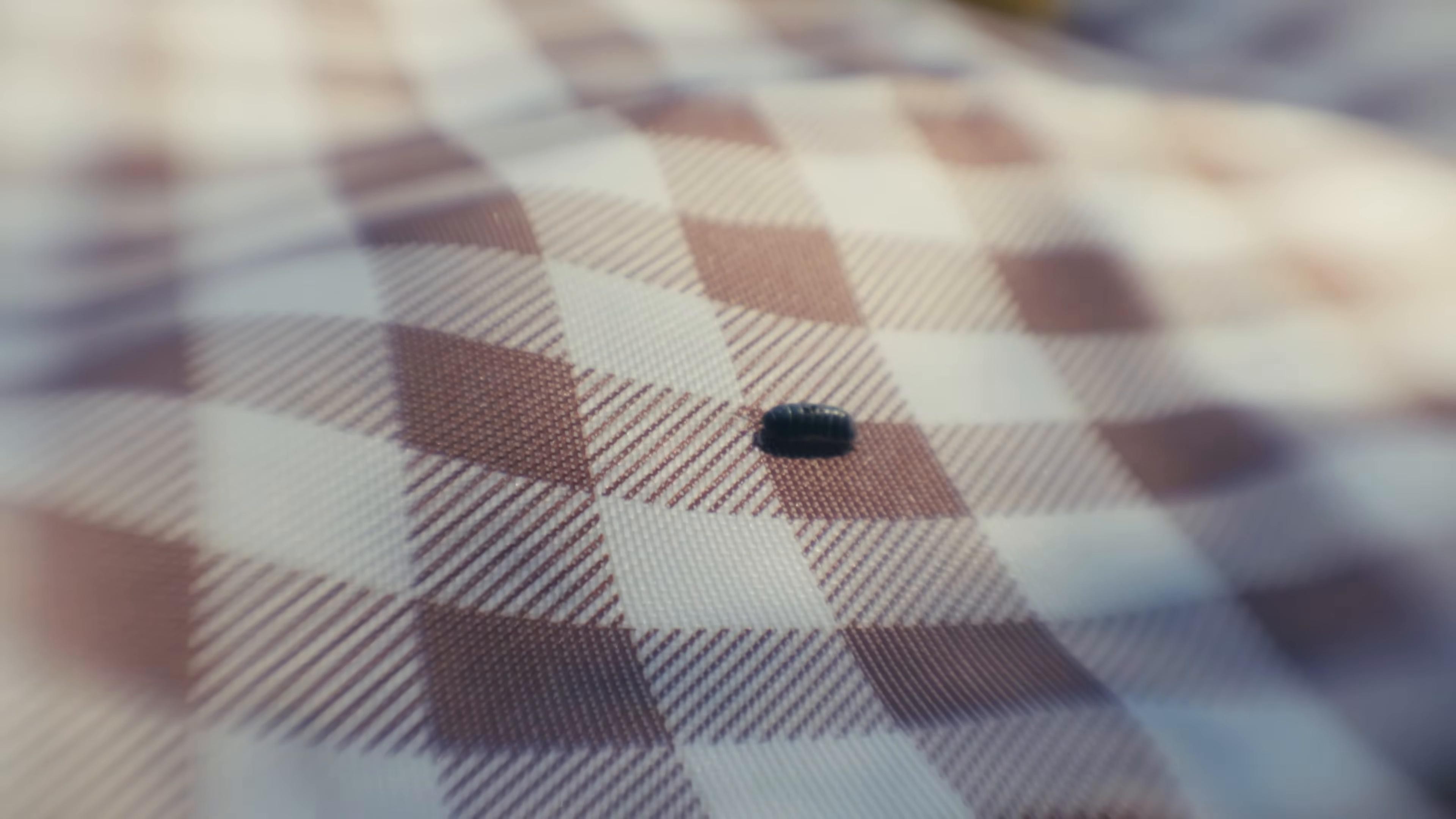 New Wave America (2025) —  shot,  lighting