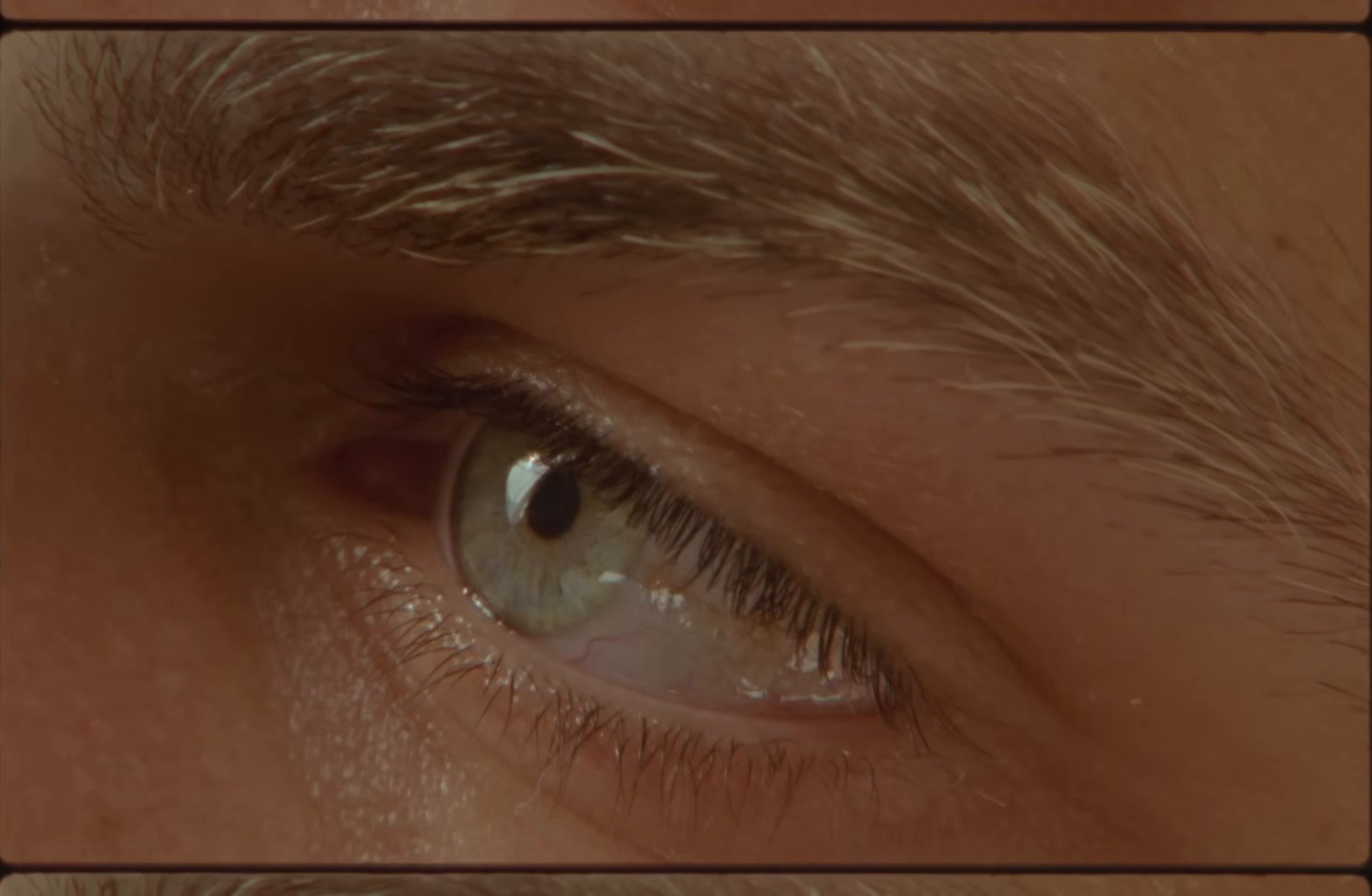 Perfect World  (2025) —  shot,  lighting