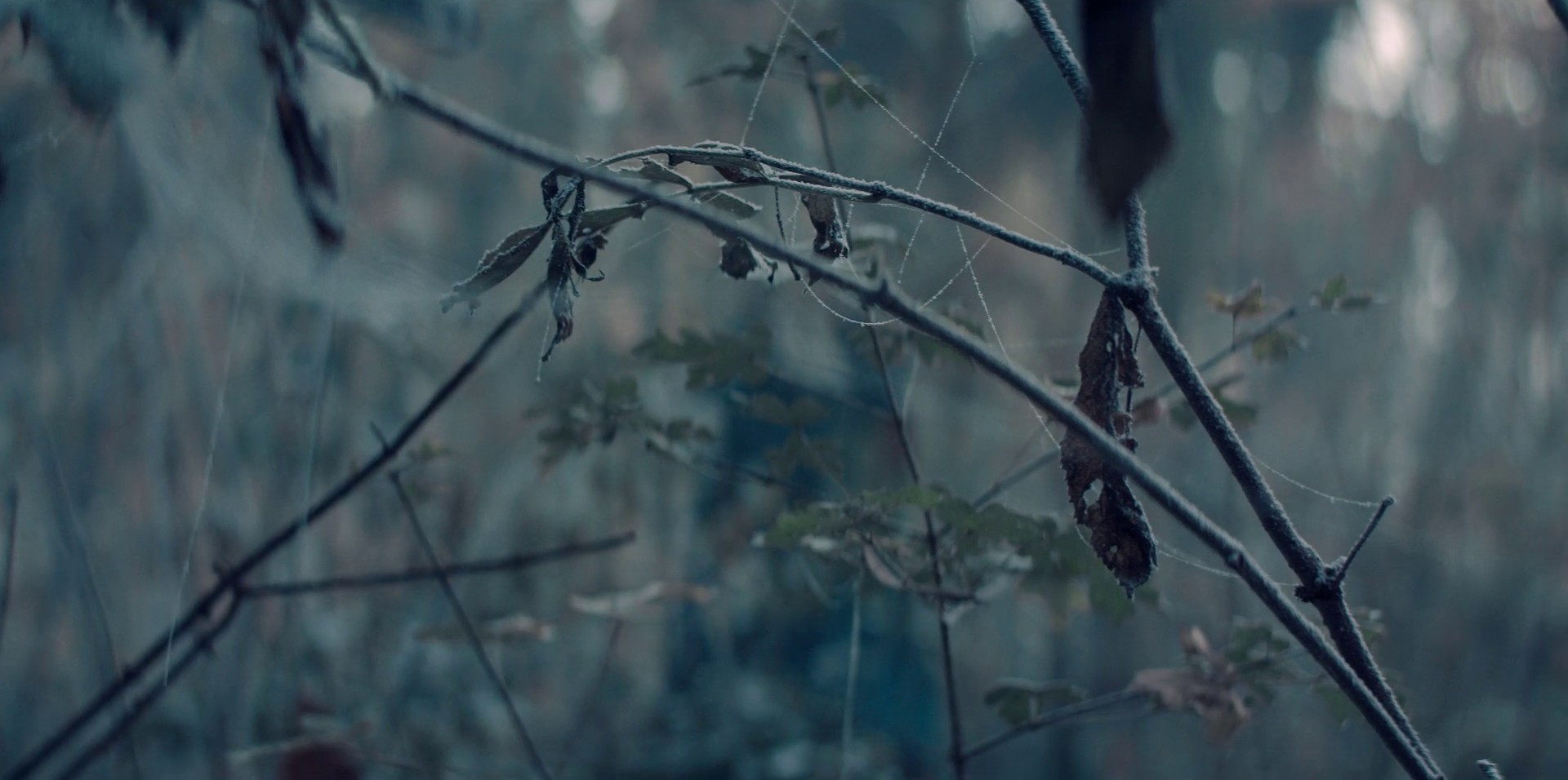 Four Marks (2019) —  shot,  lighting