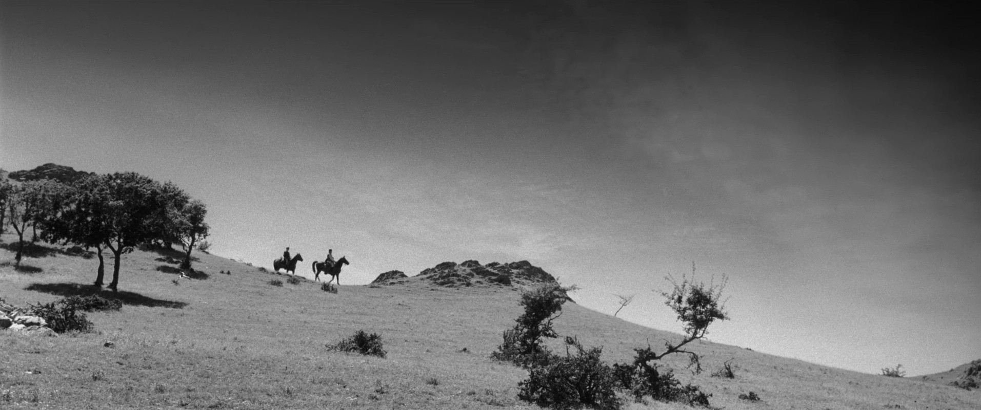 Aferim! (2015) —  shot,  lighting