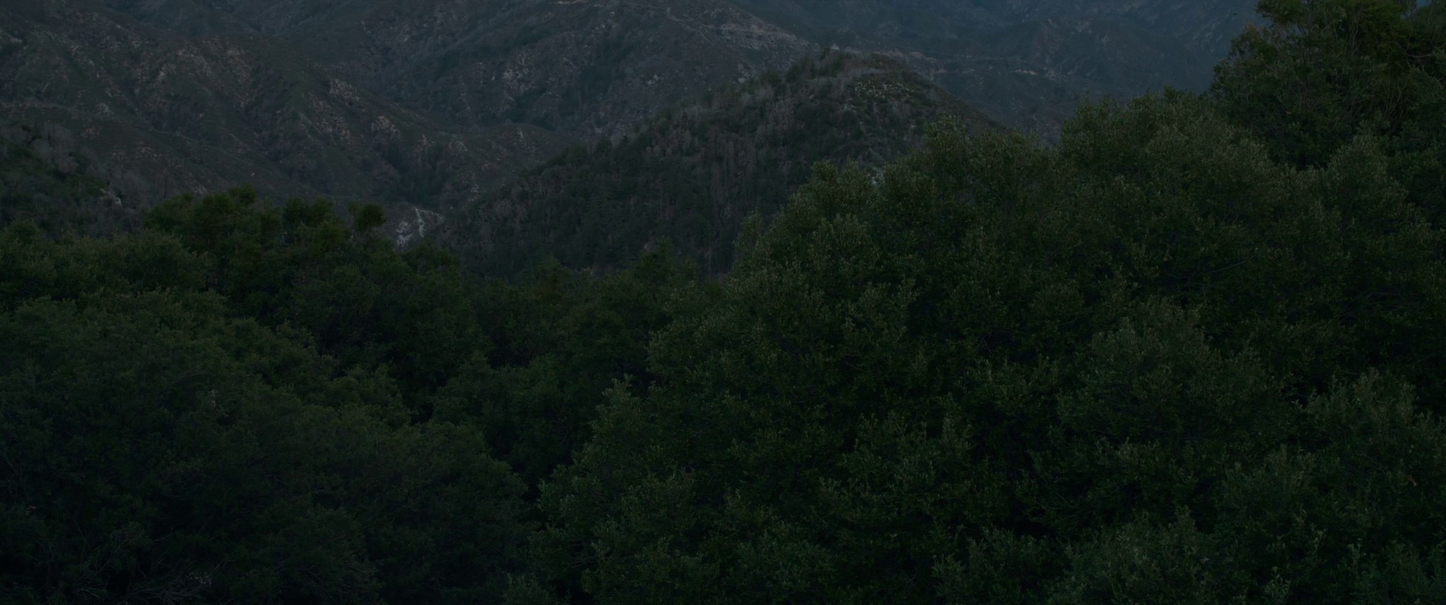 2am (2019) —  shot,  lighting