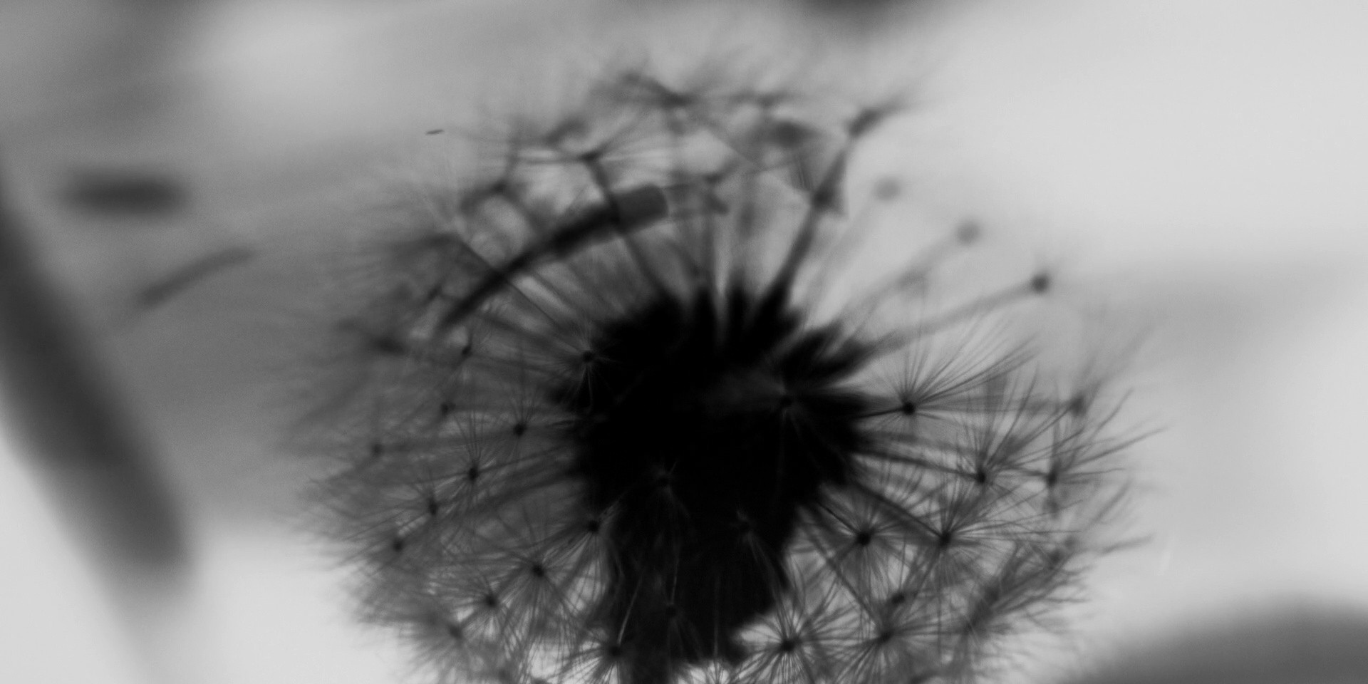 The Imposter (2024) —  shot,  lighting