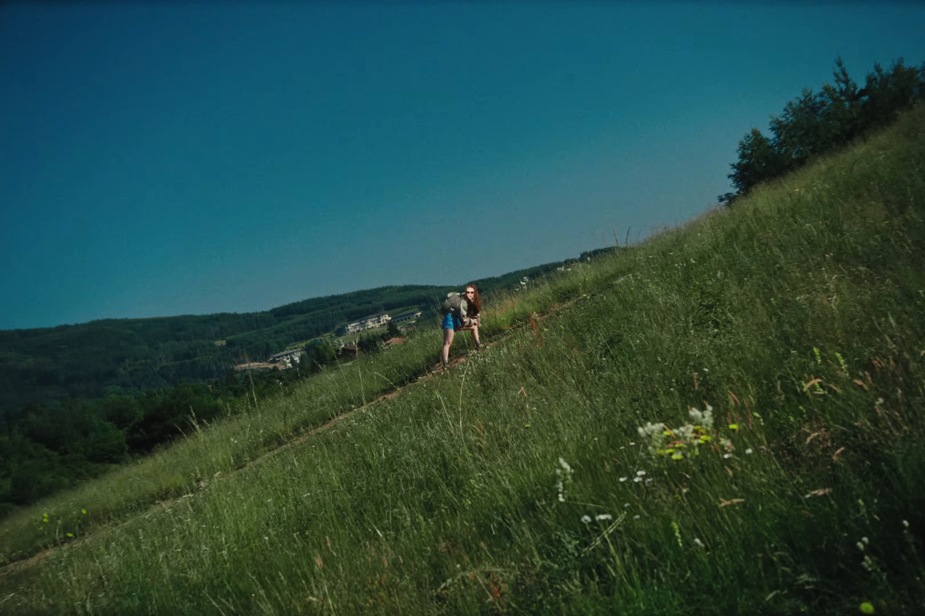 Jellyfish (2025) —  shot,  lighting