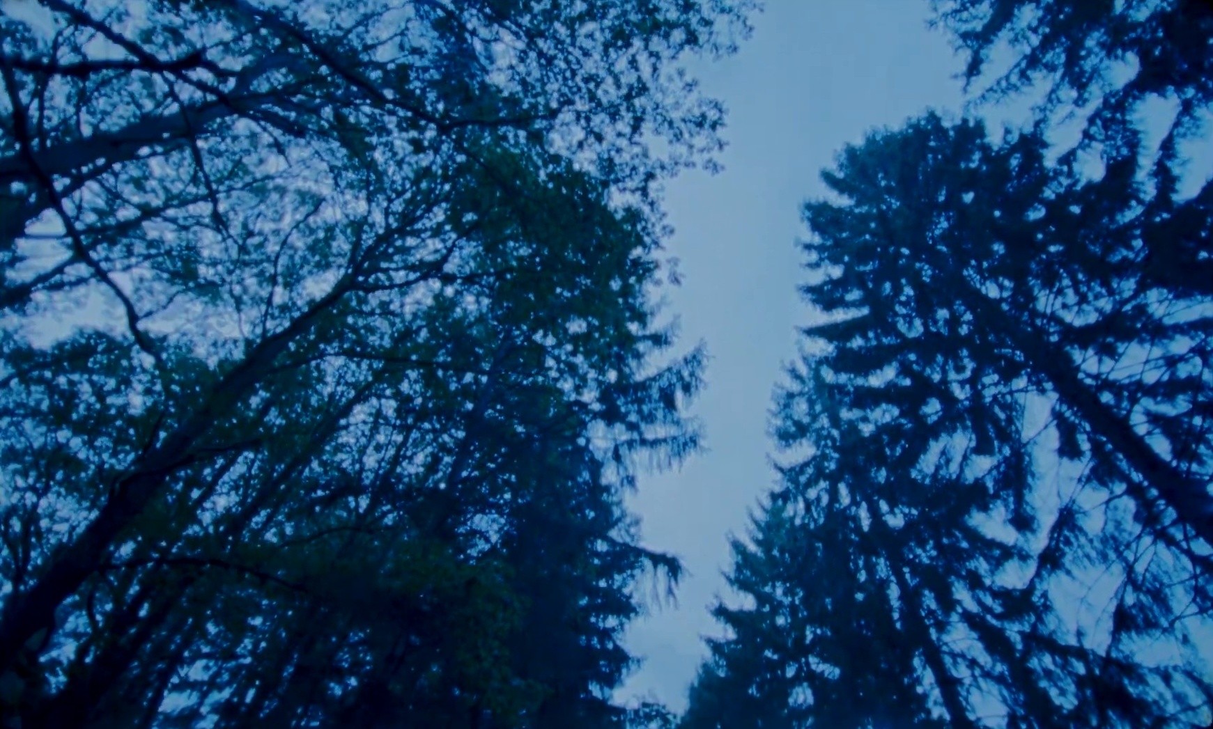 AVNIER - ARIANE (2022) —  shot,  lighting