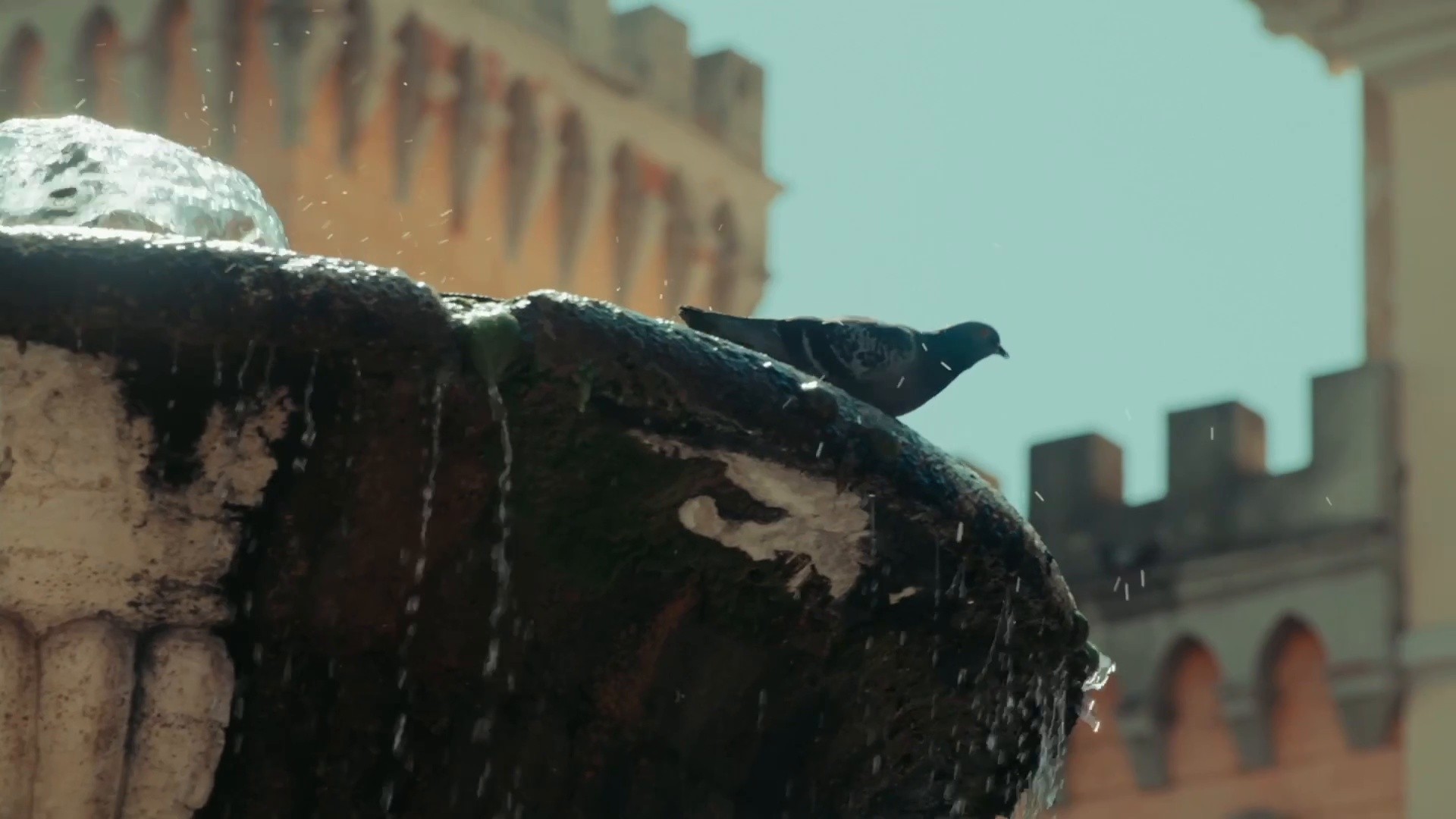 LIME MAN - Fashion campaign in Rome (2024) —  shot,  lighting