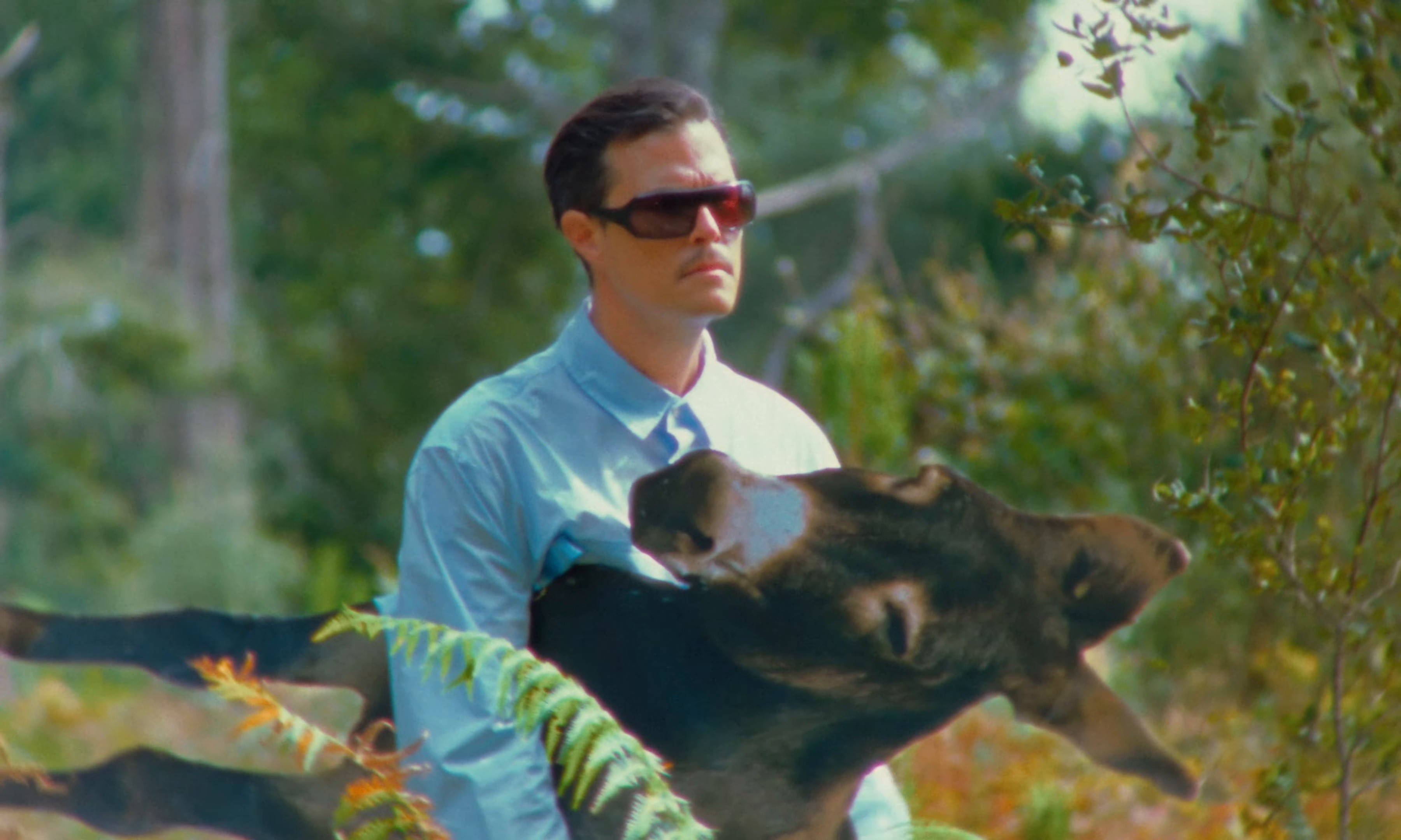 ABRACADABRA (2024) —  shot,  lighting