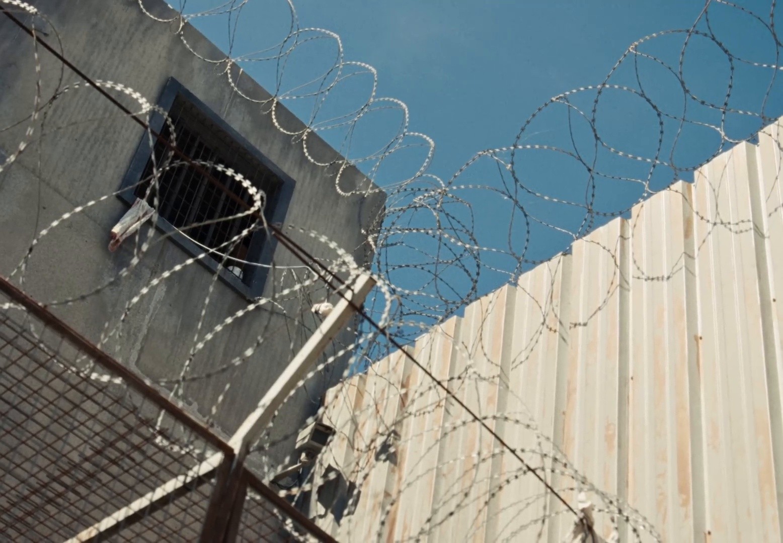 INSOLENT #5 (2025) —  shot,  lighting