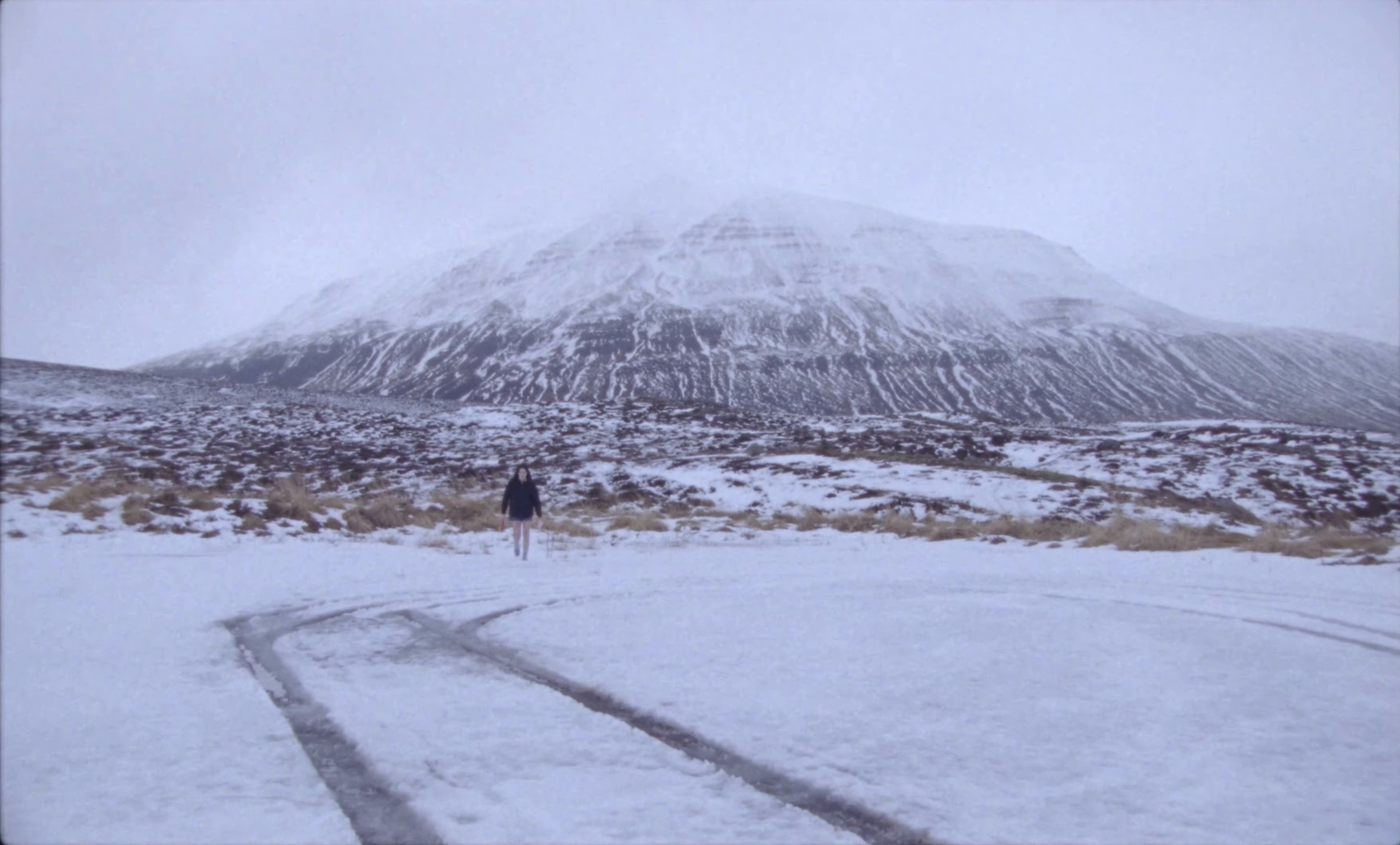 Dashboard Mary (2026) —  shot,  lighting