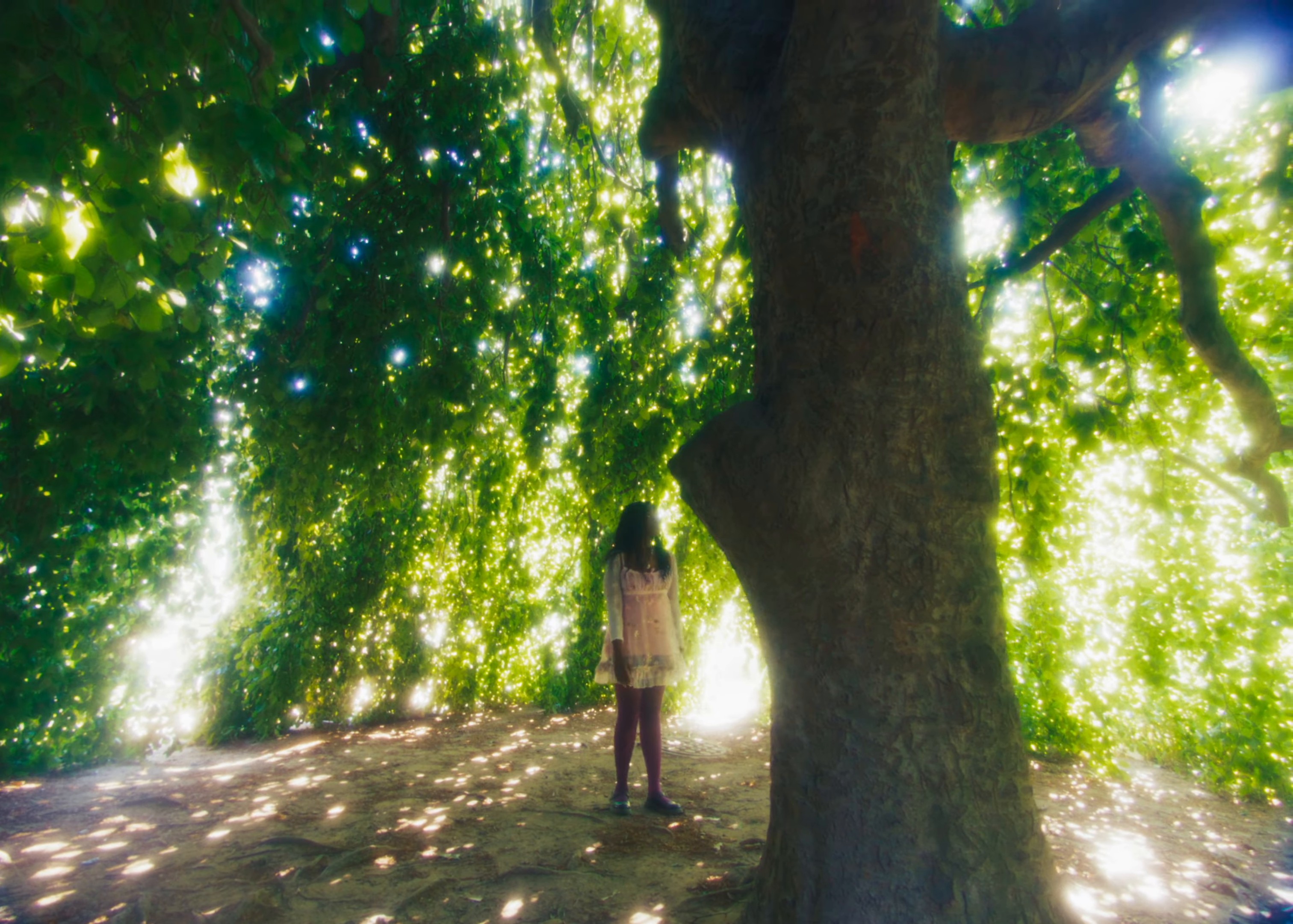 Levels (2024) —  shot,  lighting